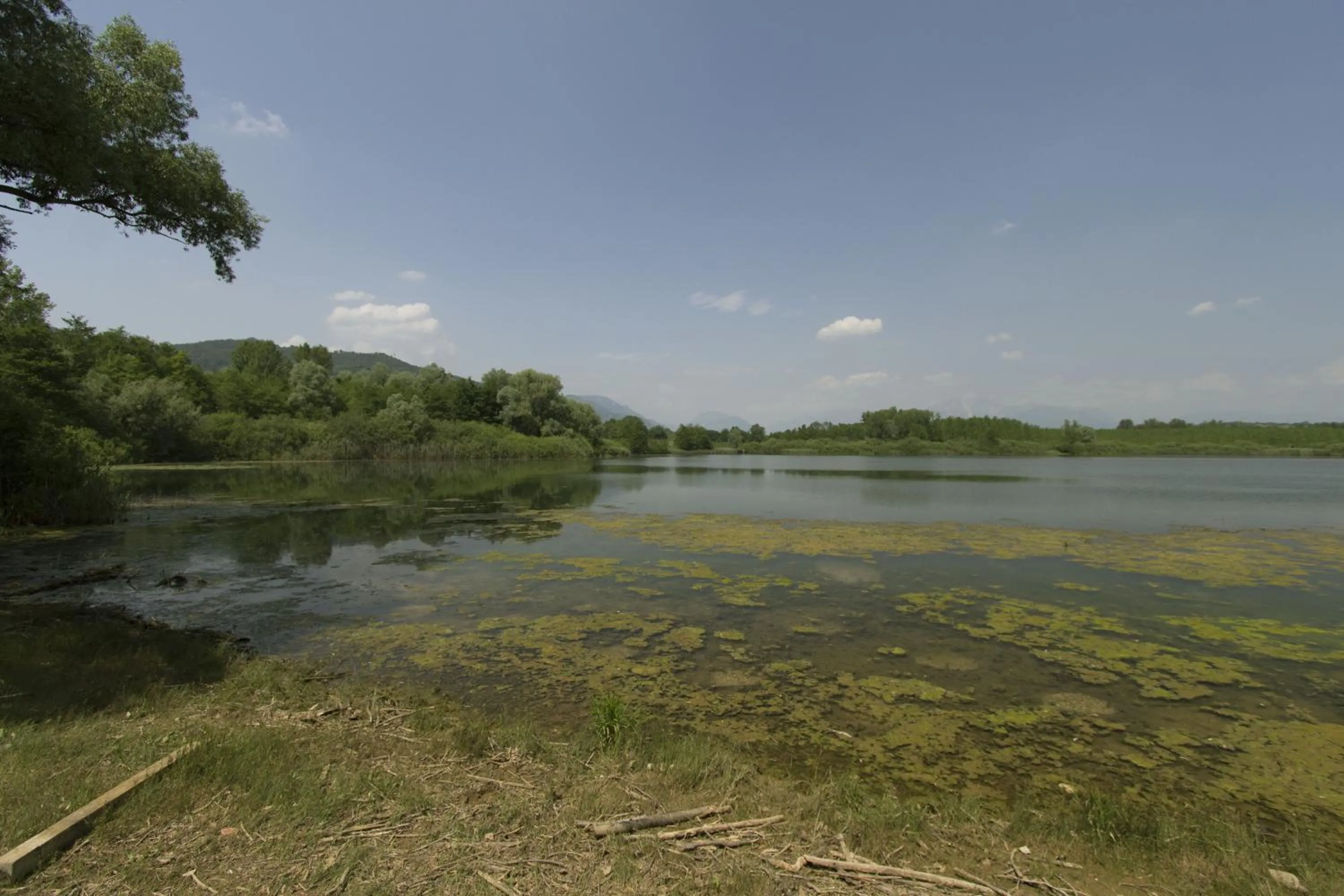 Area and facilities in B&B Marina