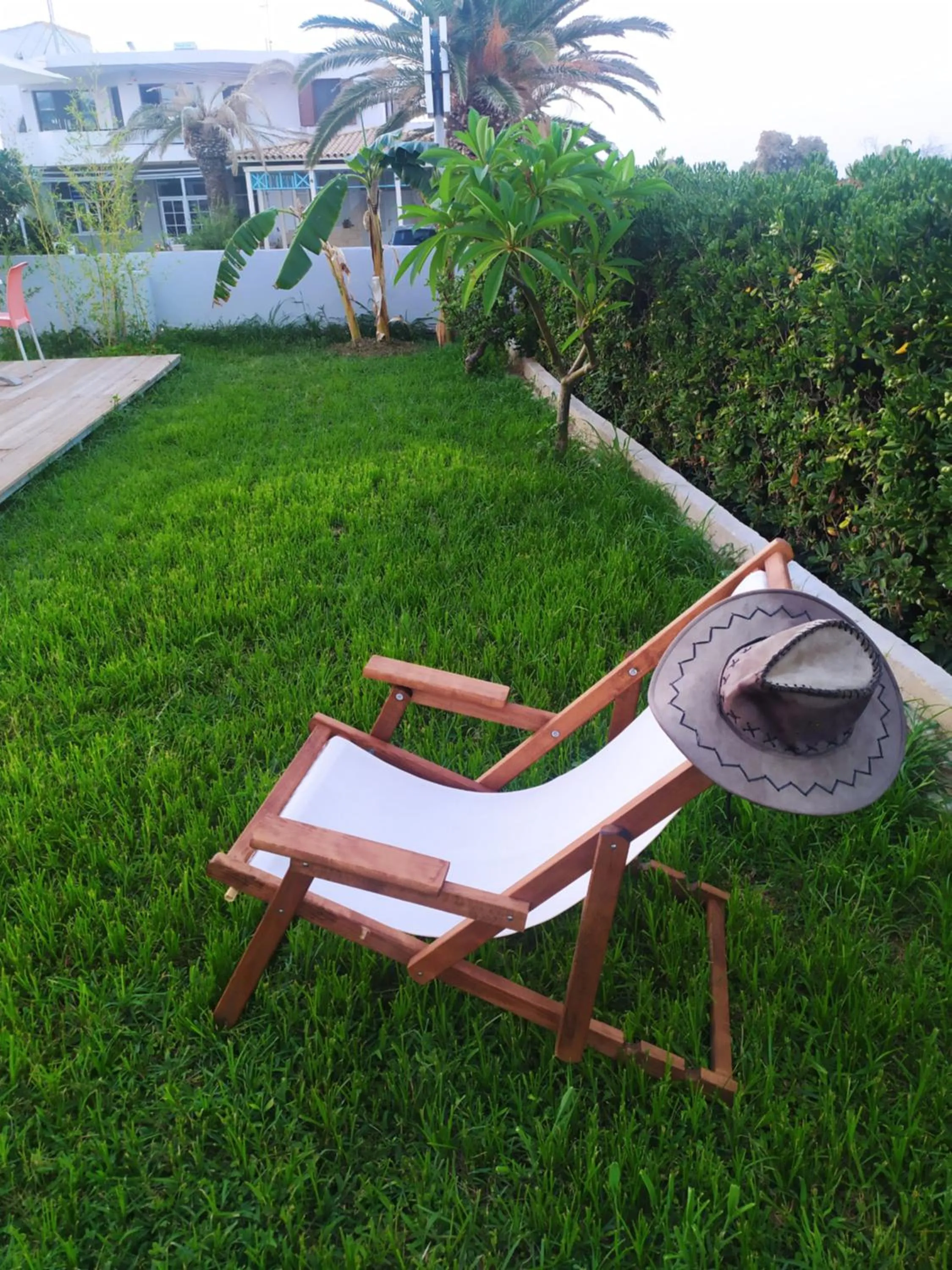 Garden in Banana Moon