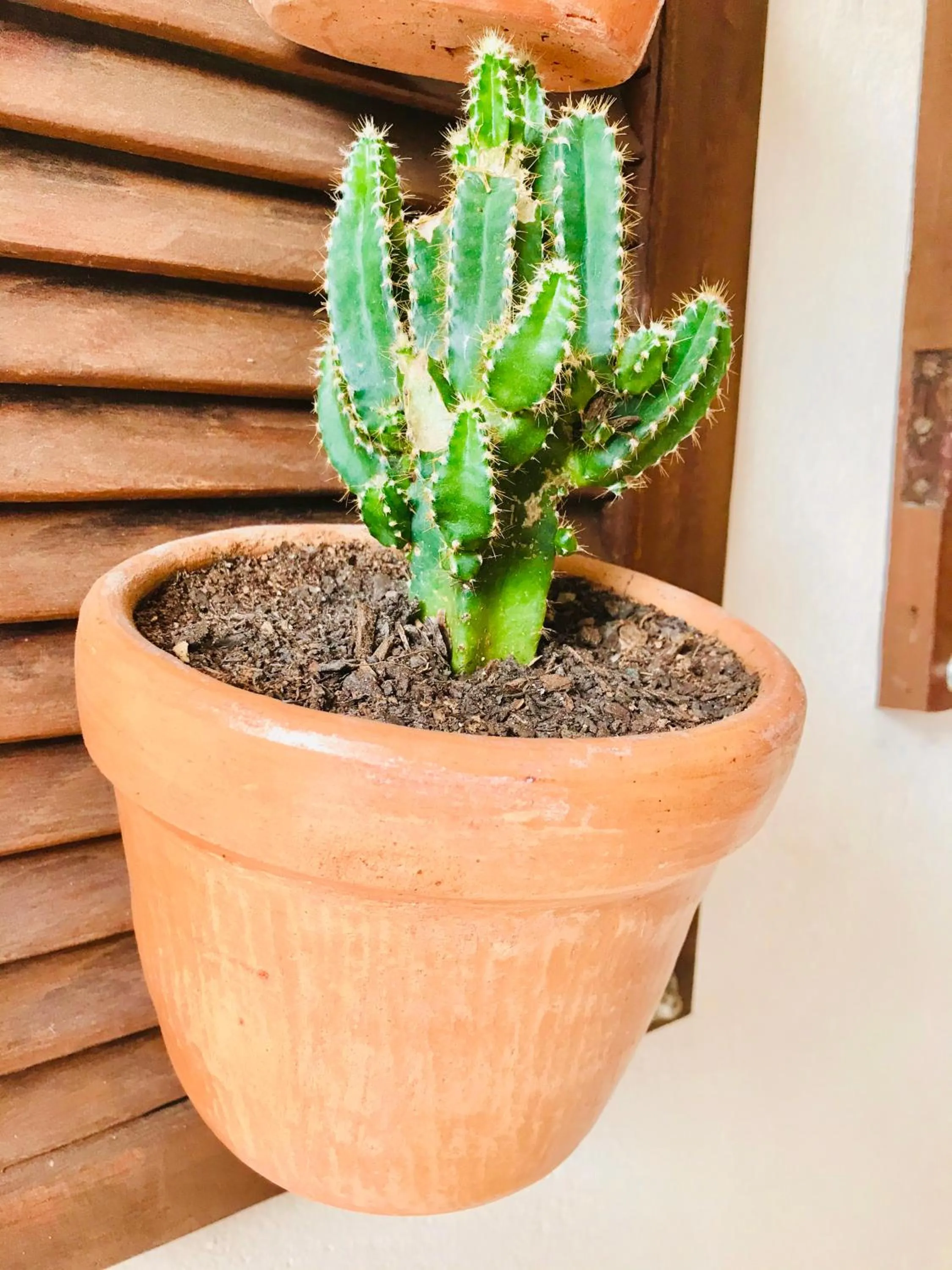 Decorative detail in Pousada Ilha do Encanto