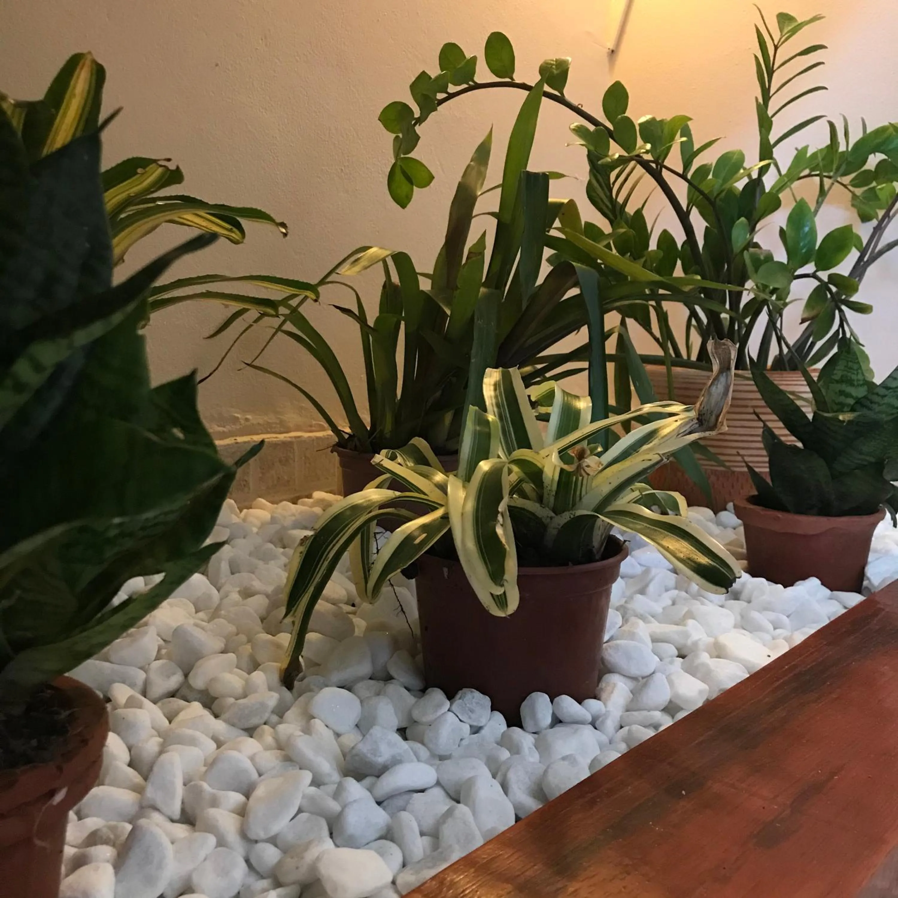 Decorative detail in Pousada Ilha do Encanto