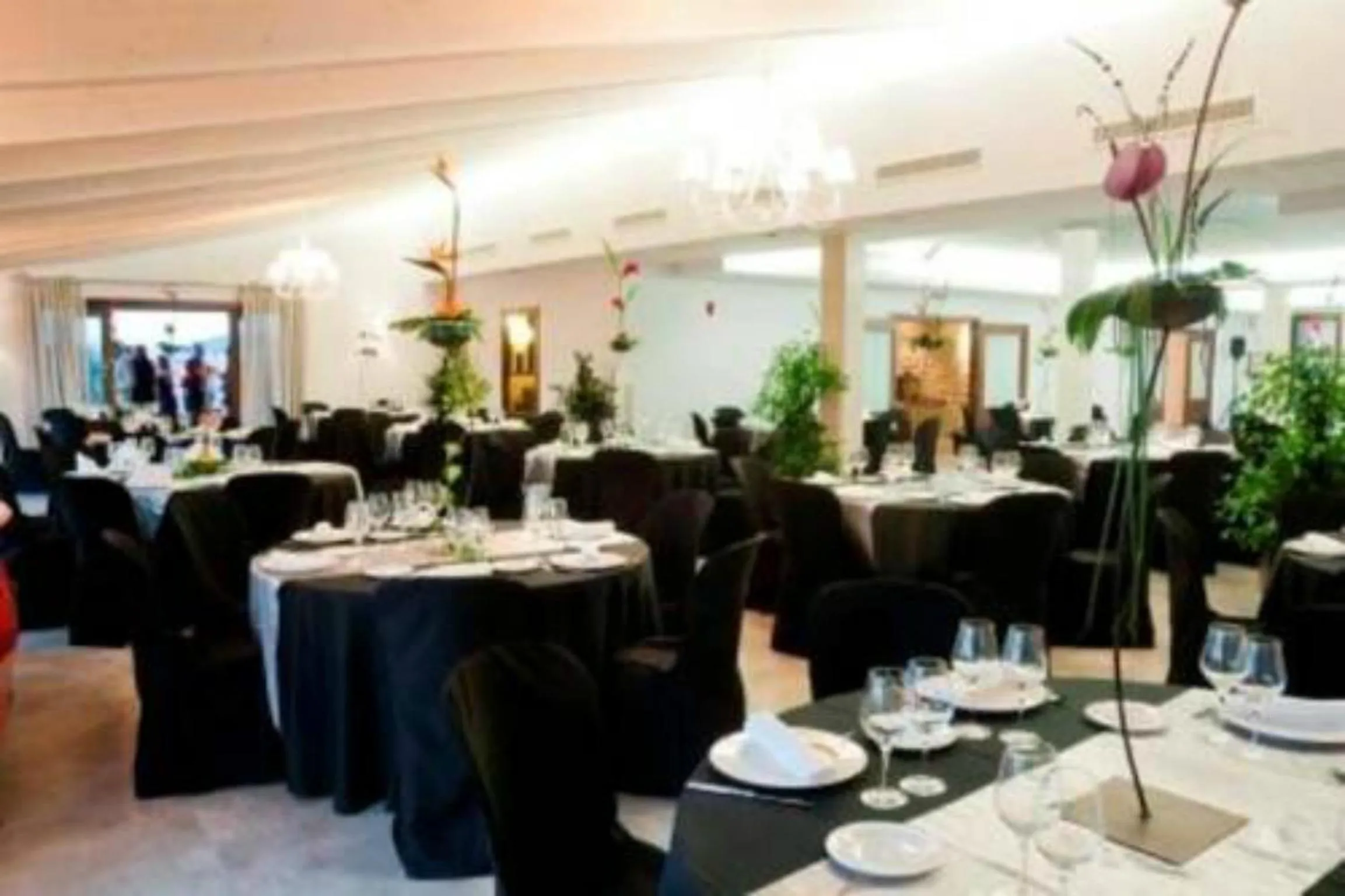 Restaurant/places to eat in Hotel Villa Monter
