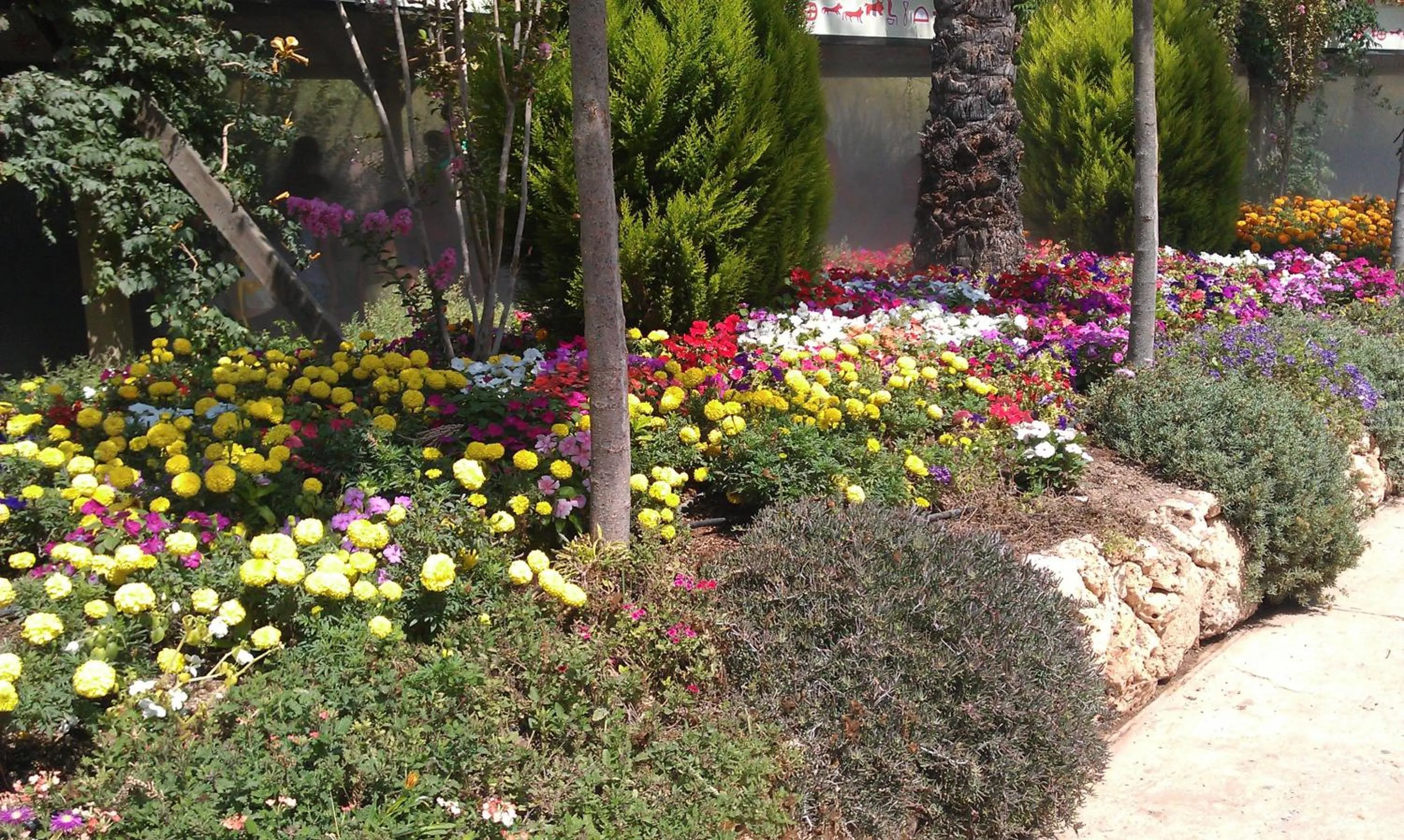 Garden in Hotel Villa Monter