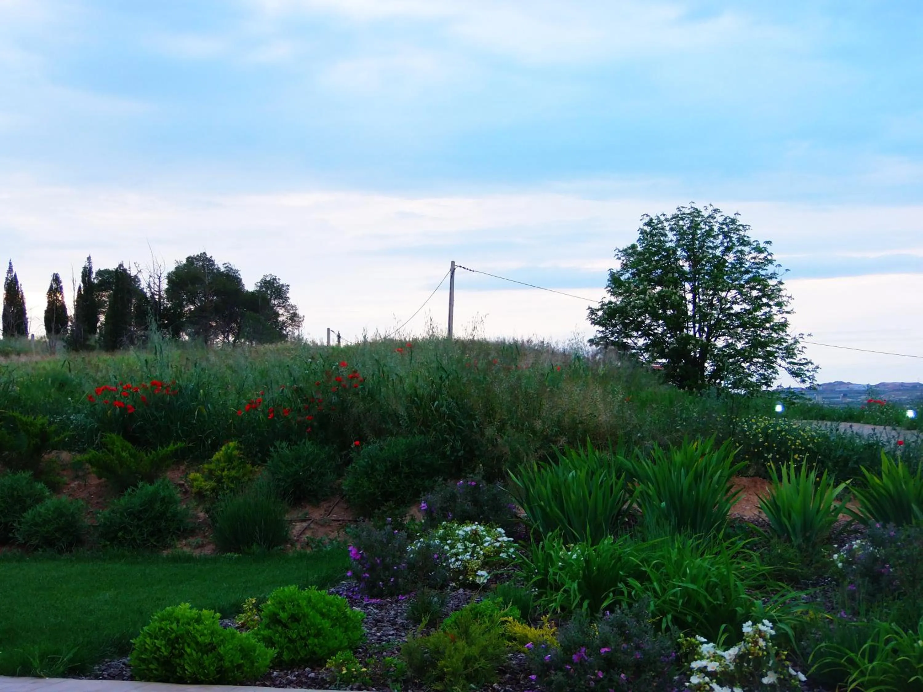 Street view in Hotel Villa Monter
