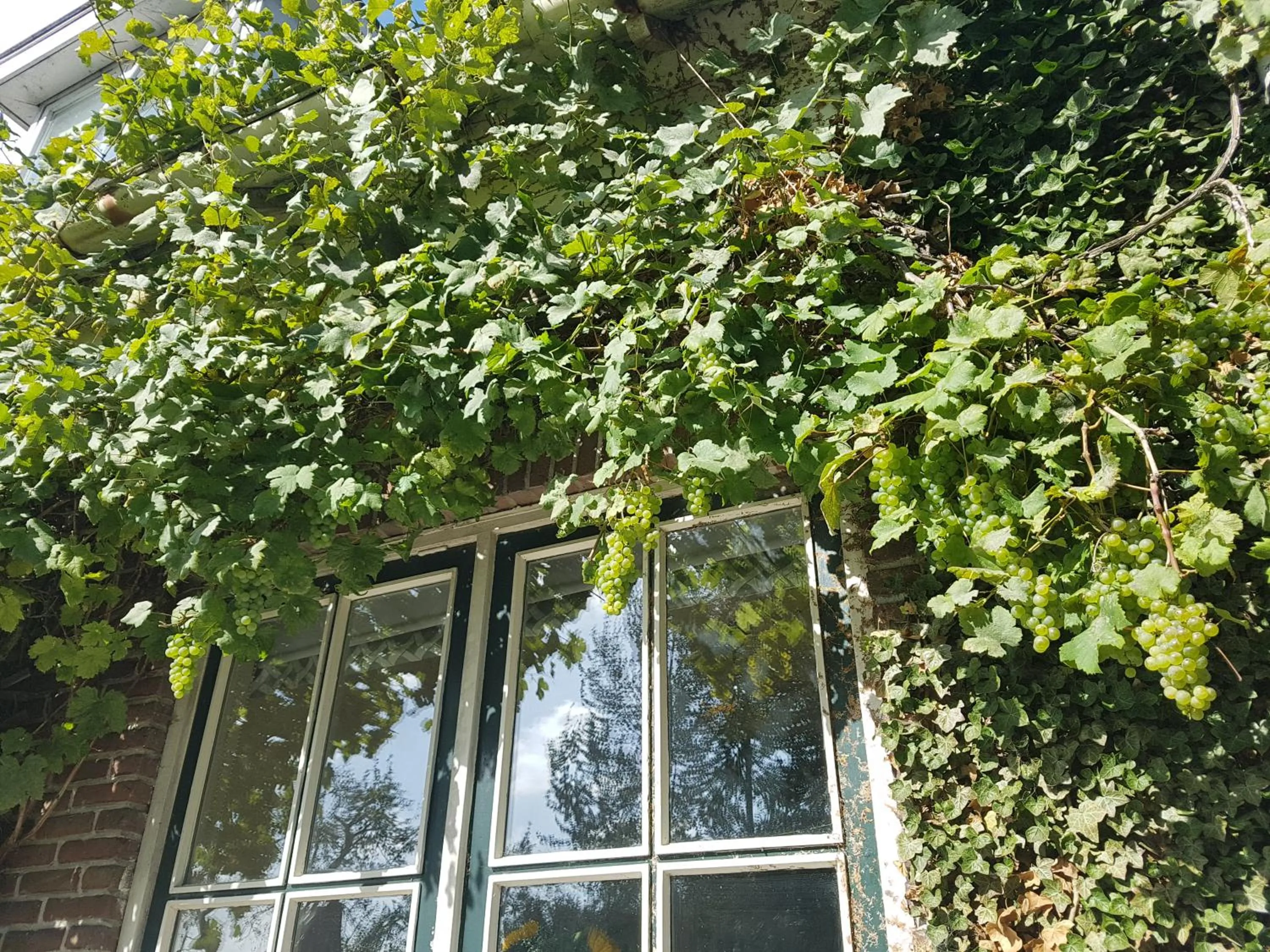 Summer in B&B de Panheide