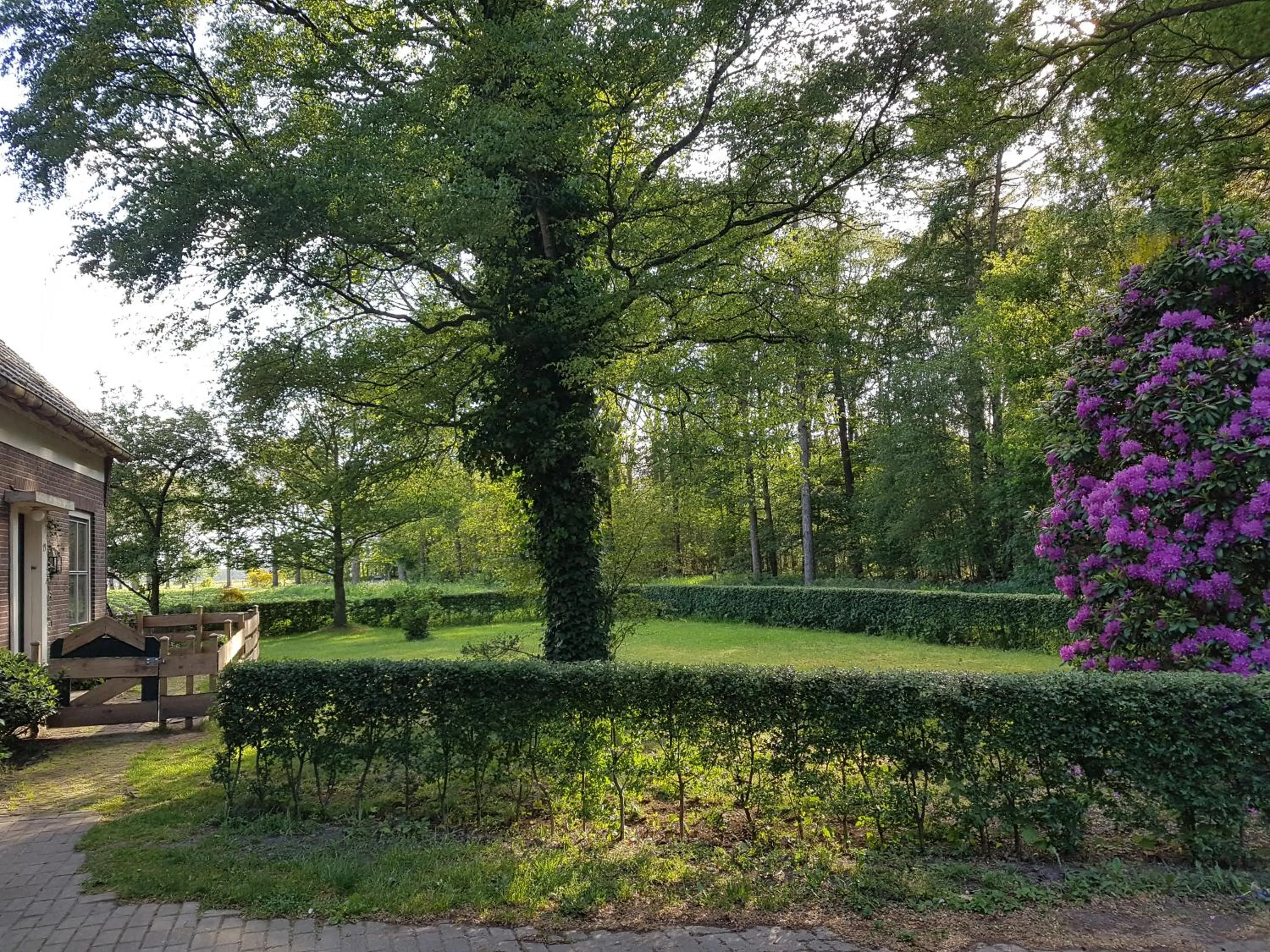 Garden in B&B de Panheide
