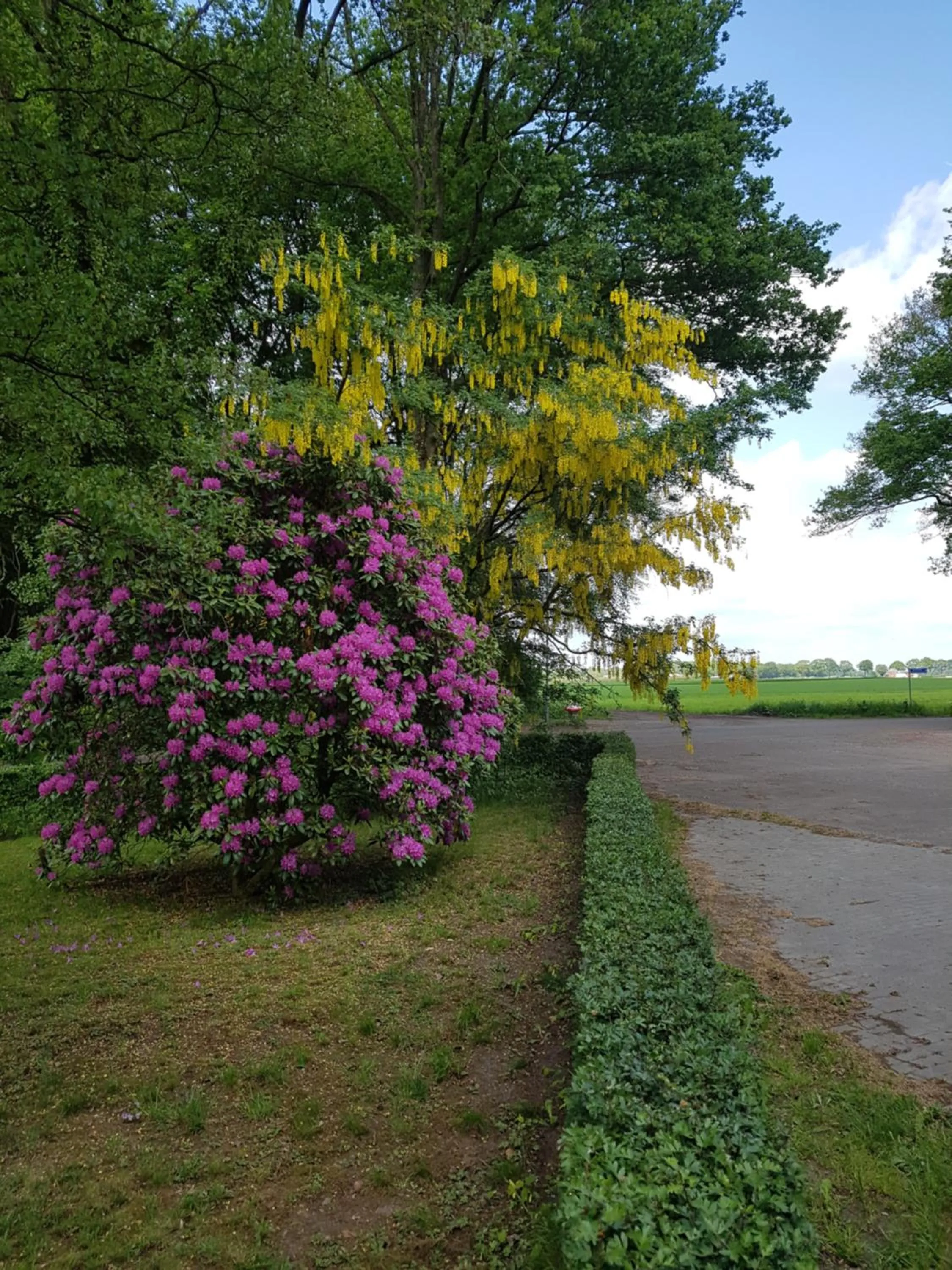 Garden in B&B de Panheide