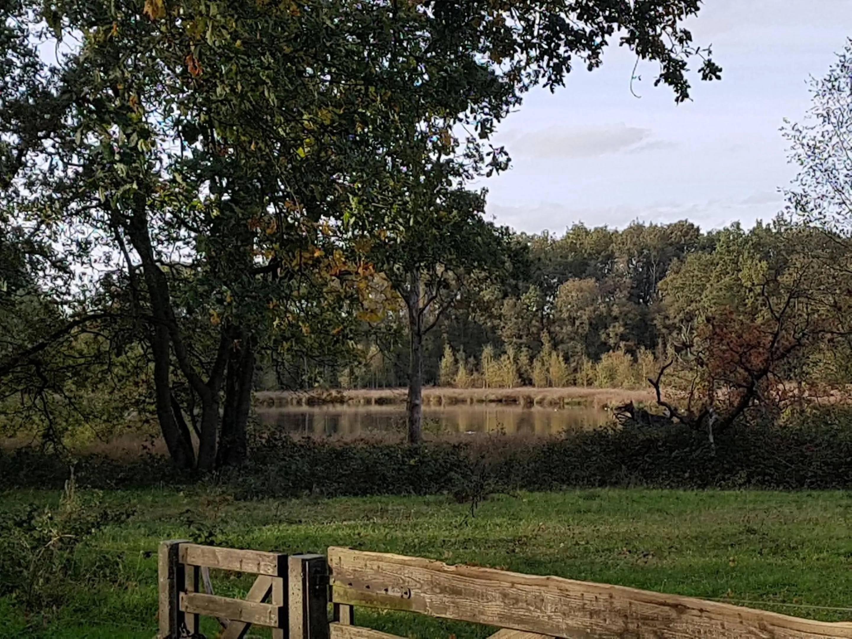 Natural landscape in B&B de Panheide