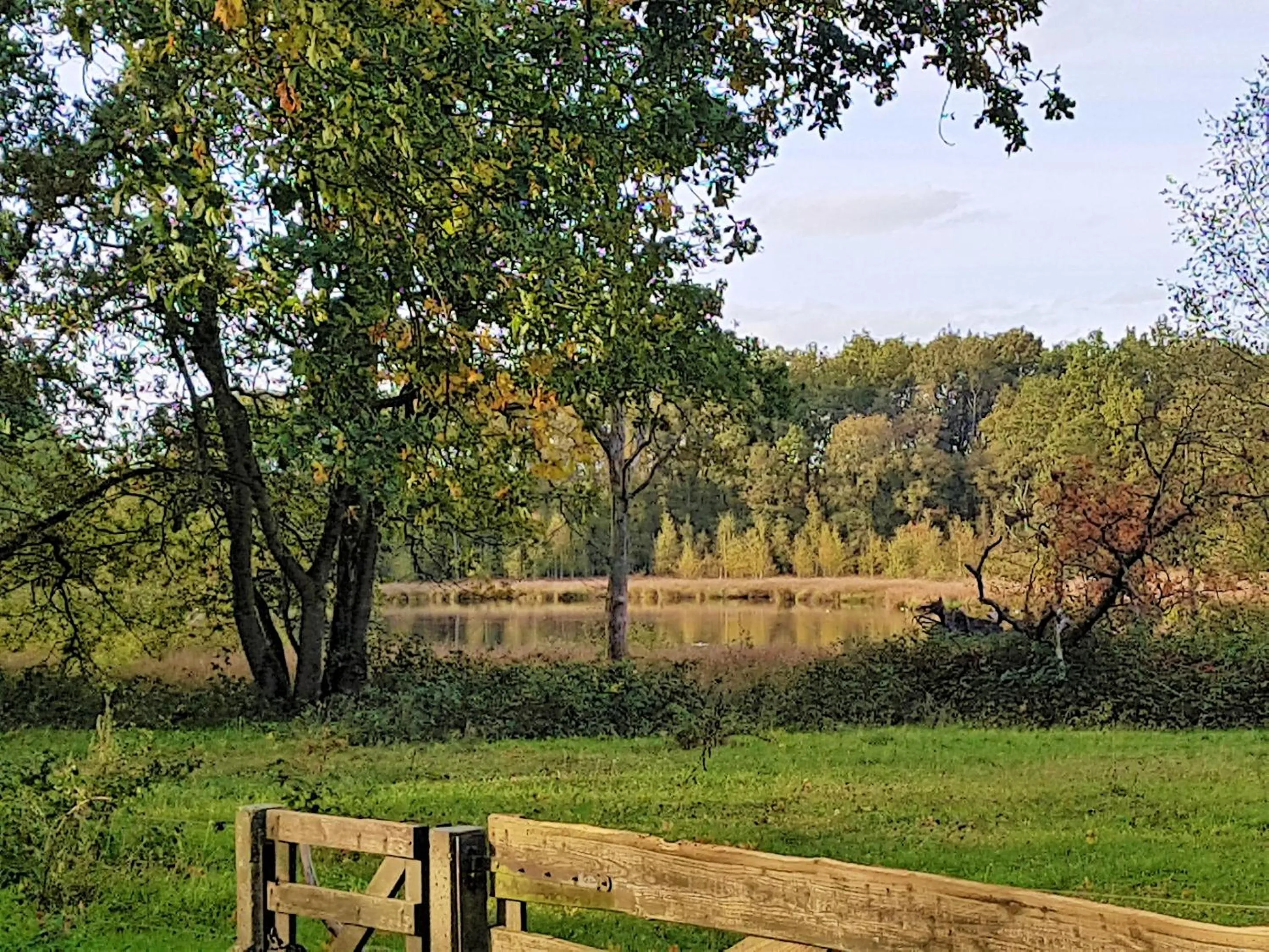 Natural landscape in B&B de Panheide