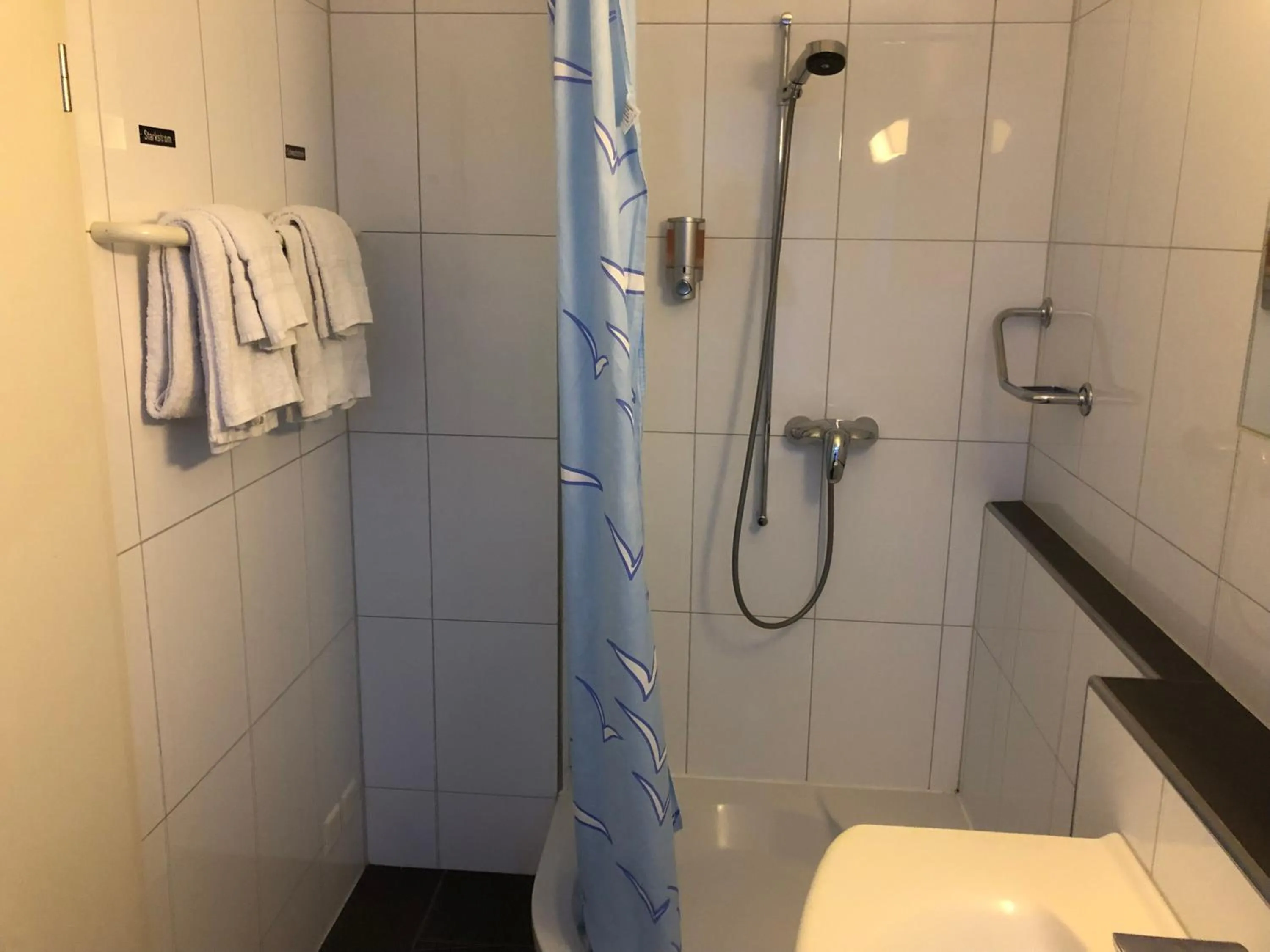 Shower in SASS APARTHOTEL