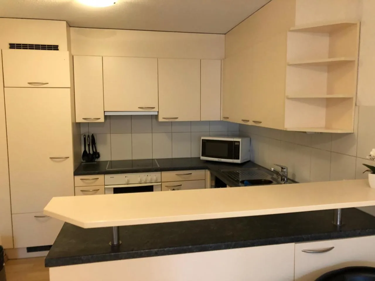 Kitchen or kitchenette in SASS APARTHOTEL