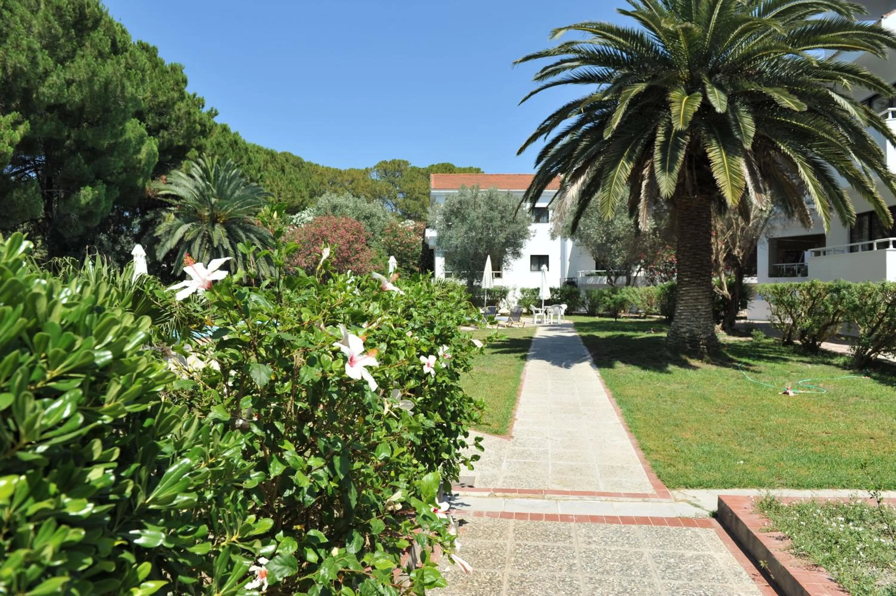 Garden view in Niki Hotel Apartments