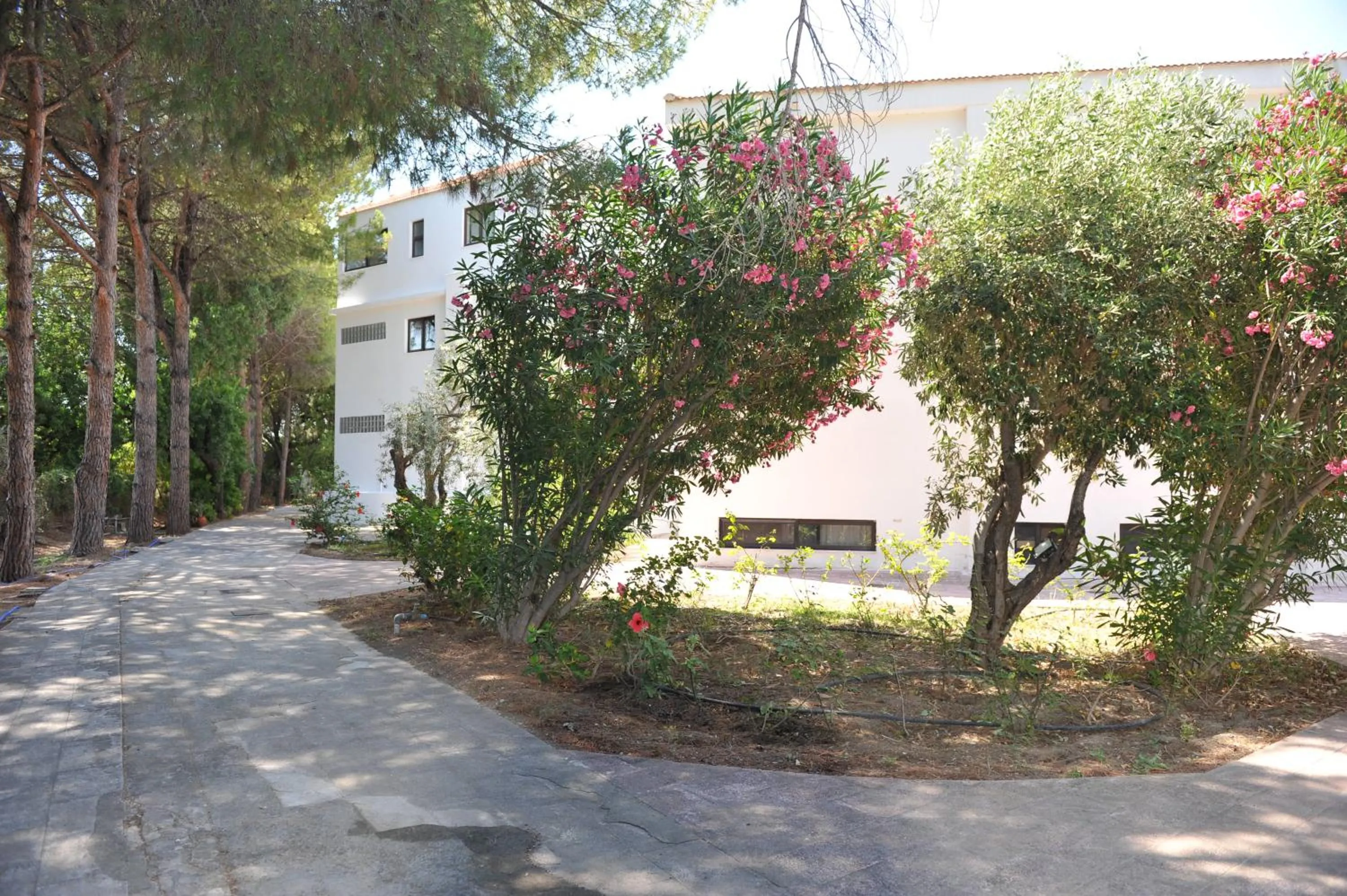 Garden in Niki Hotel Apartments