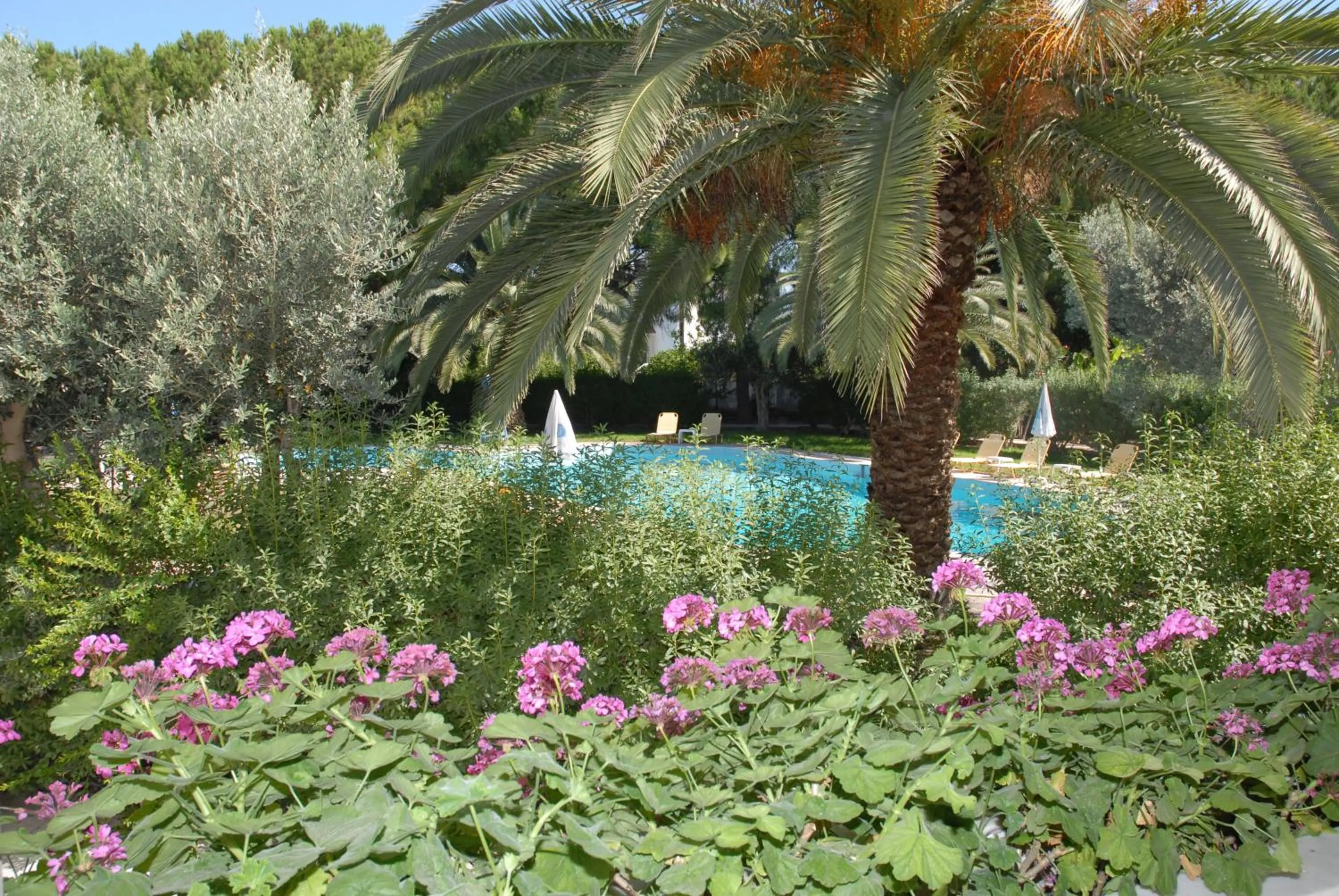 Garden in Niki Hotel Apartments
