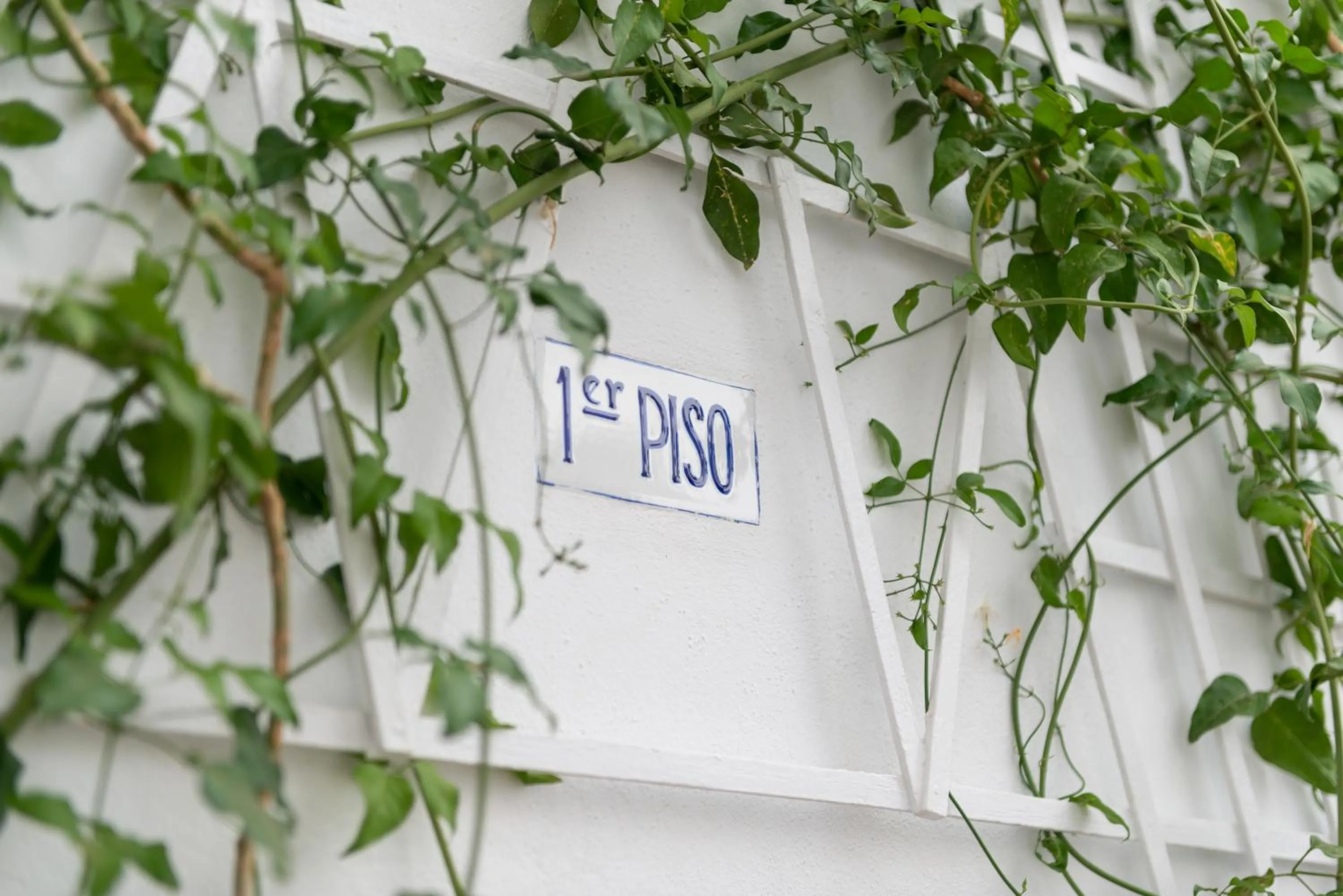 Facade/entrance in Hostal Pons