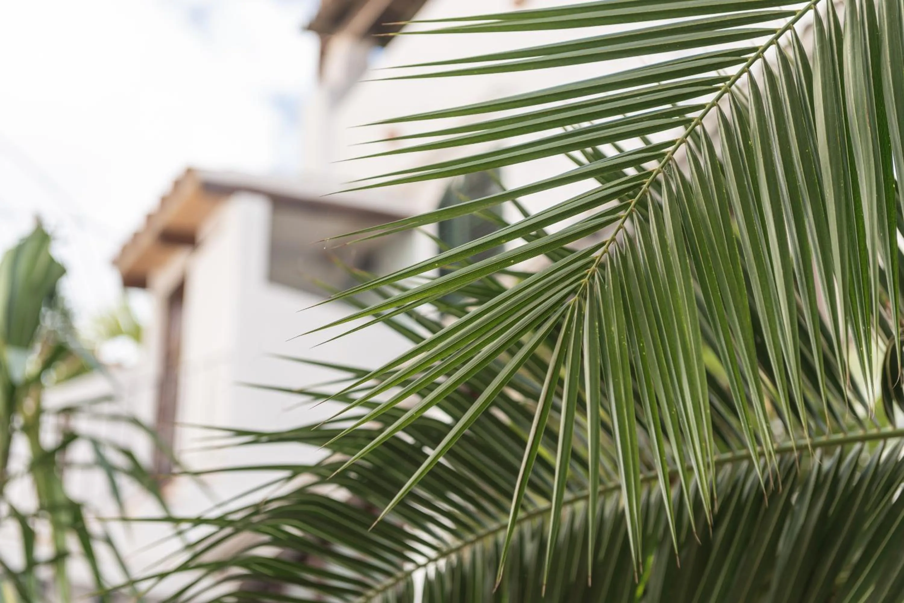 Property building in Hostal Pons