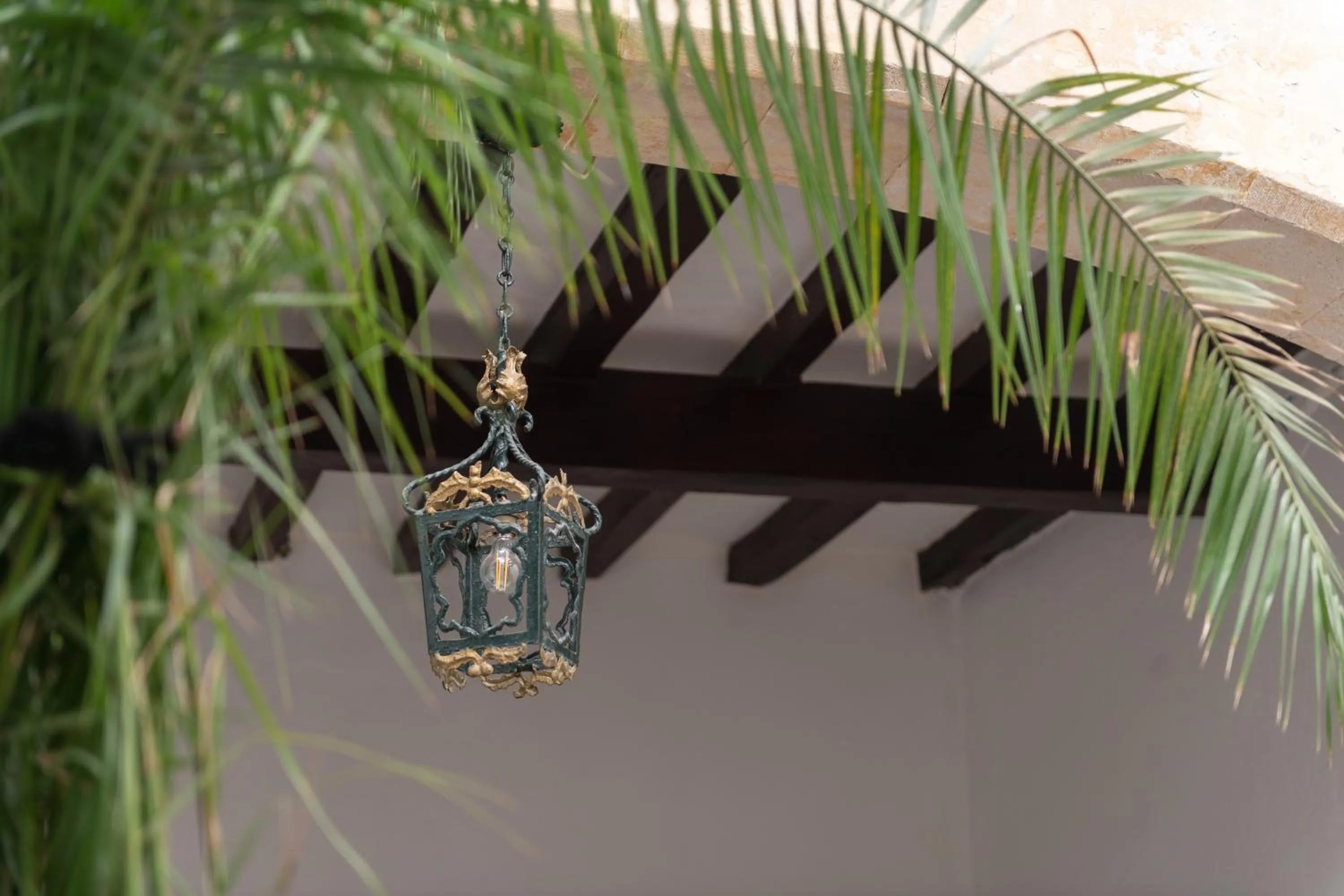 Balcony/Terrace in Hostal Pons