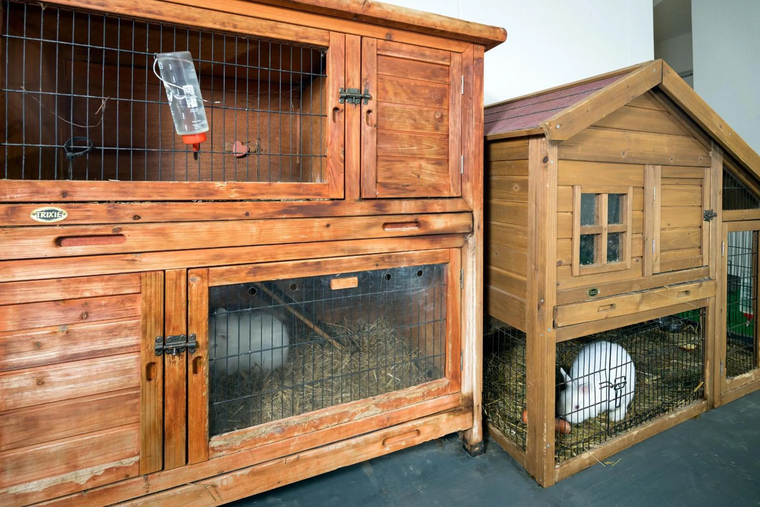 Animals in Aparthotel Alpendiamant Serfaus Wachter GmbH