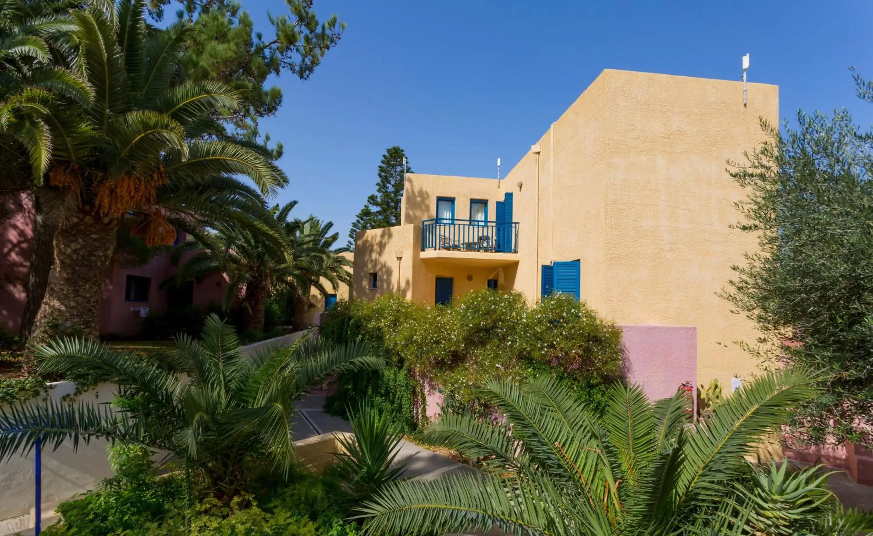 Property building in Dessole Dolphin Bay - All Inclusive Property building in Dessole Dolphin Bay - All Inclusive