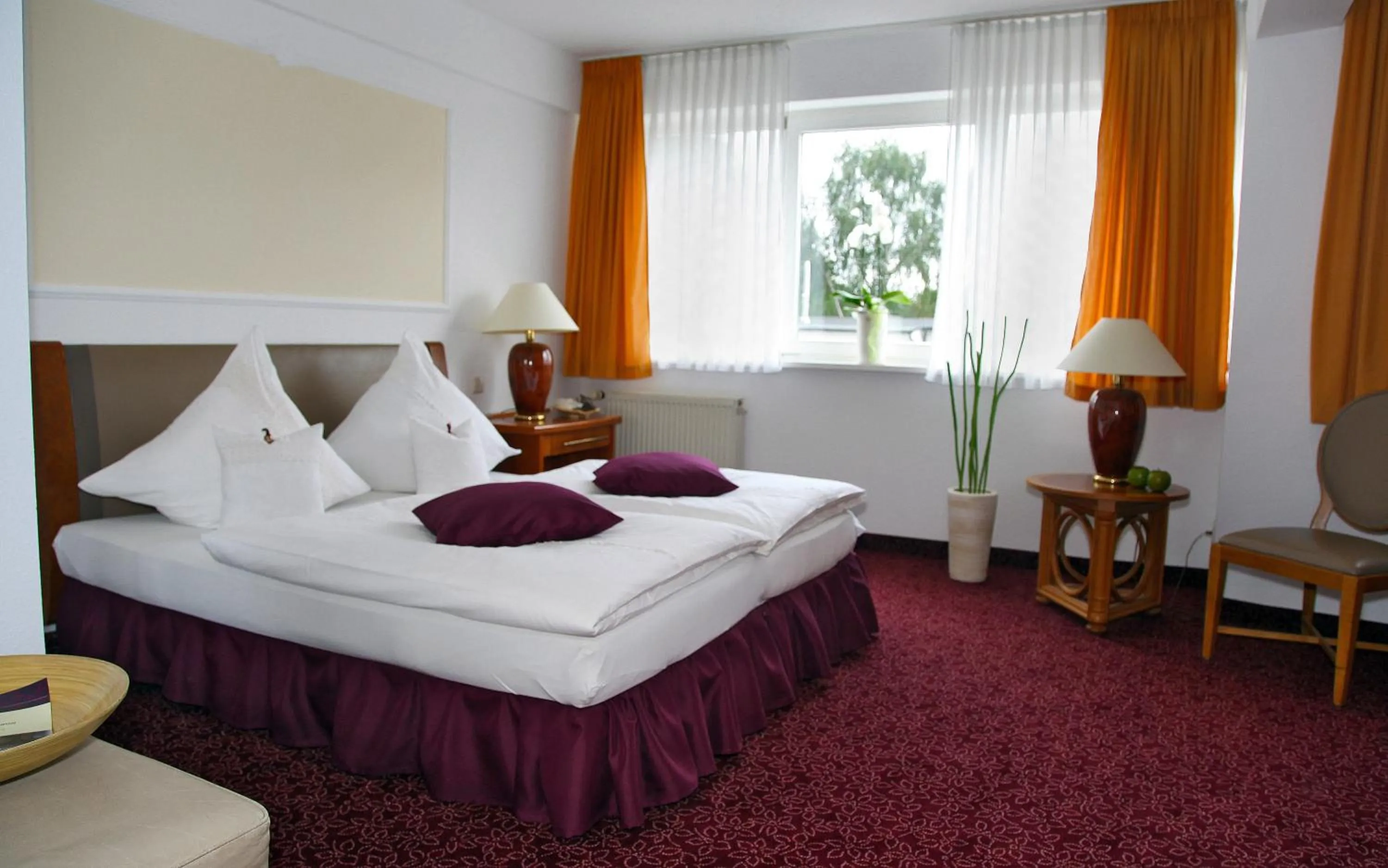 Photo of the whole room in Hotel Antares