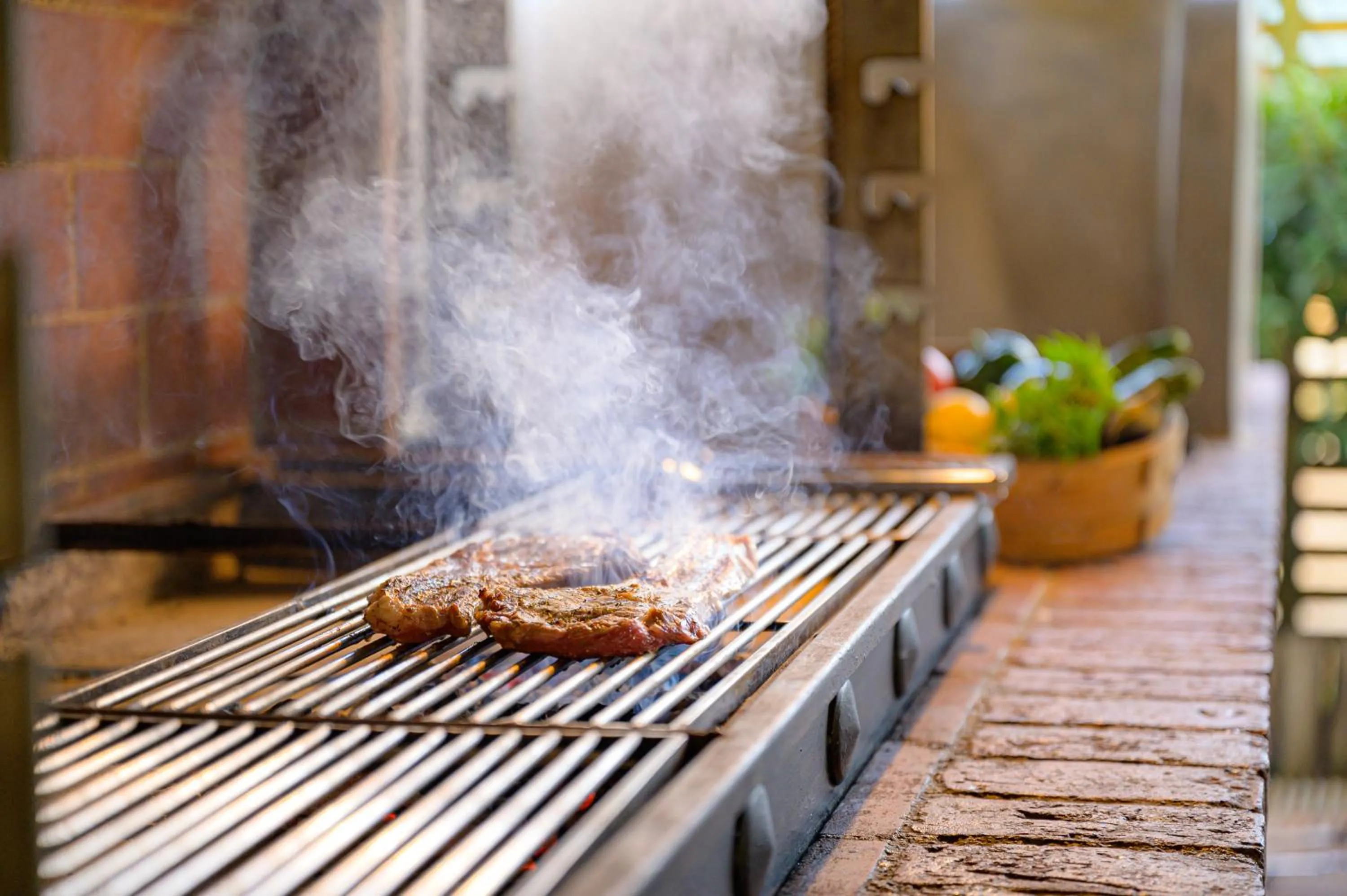 BBQ facilities in Olympion Asty Hotel