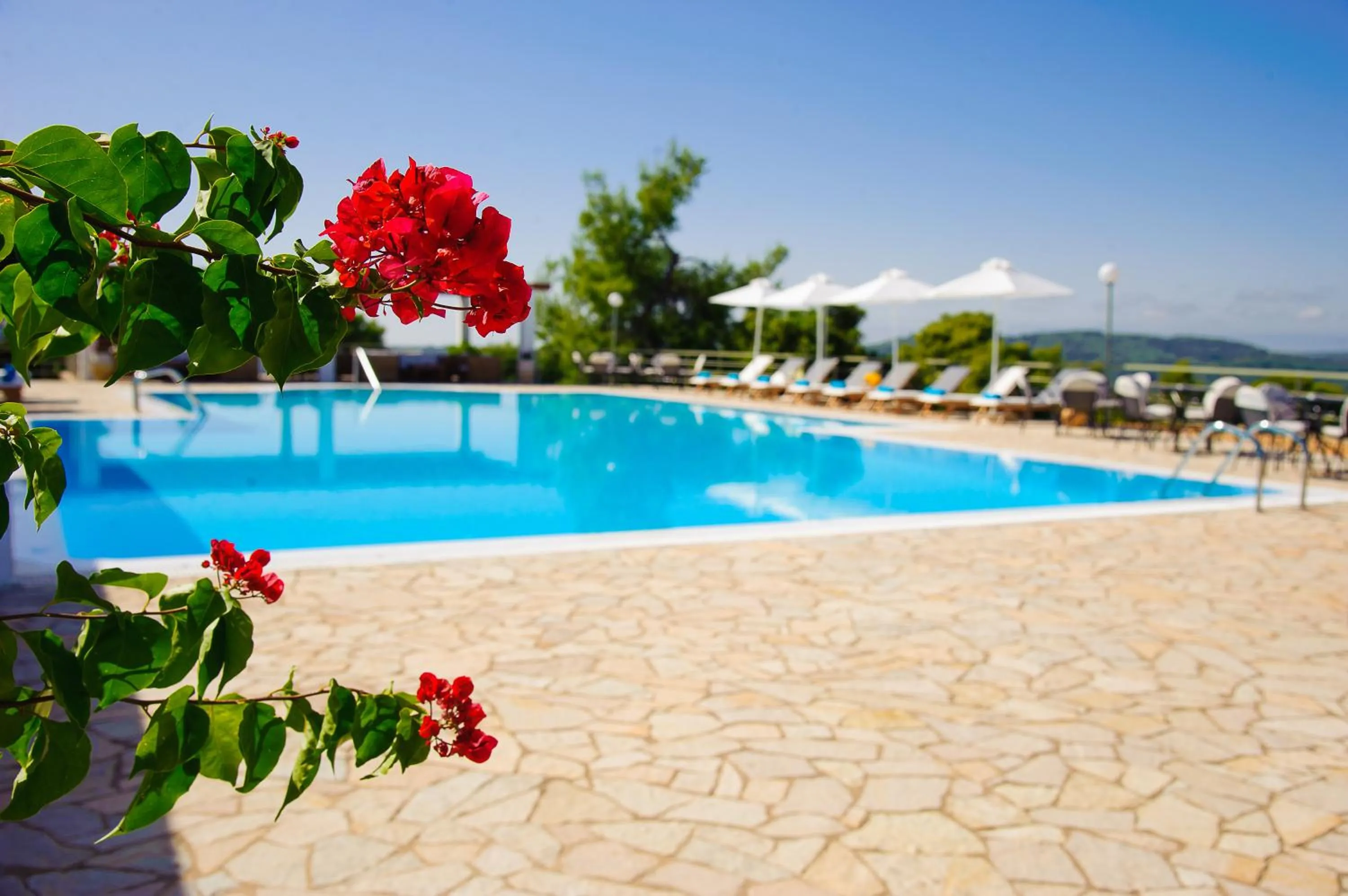 Swimming pool in Olympion Asty Hotel