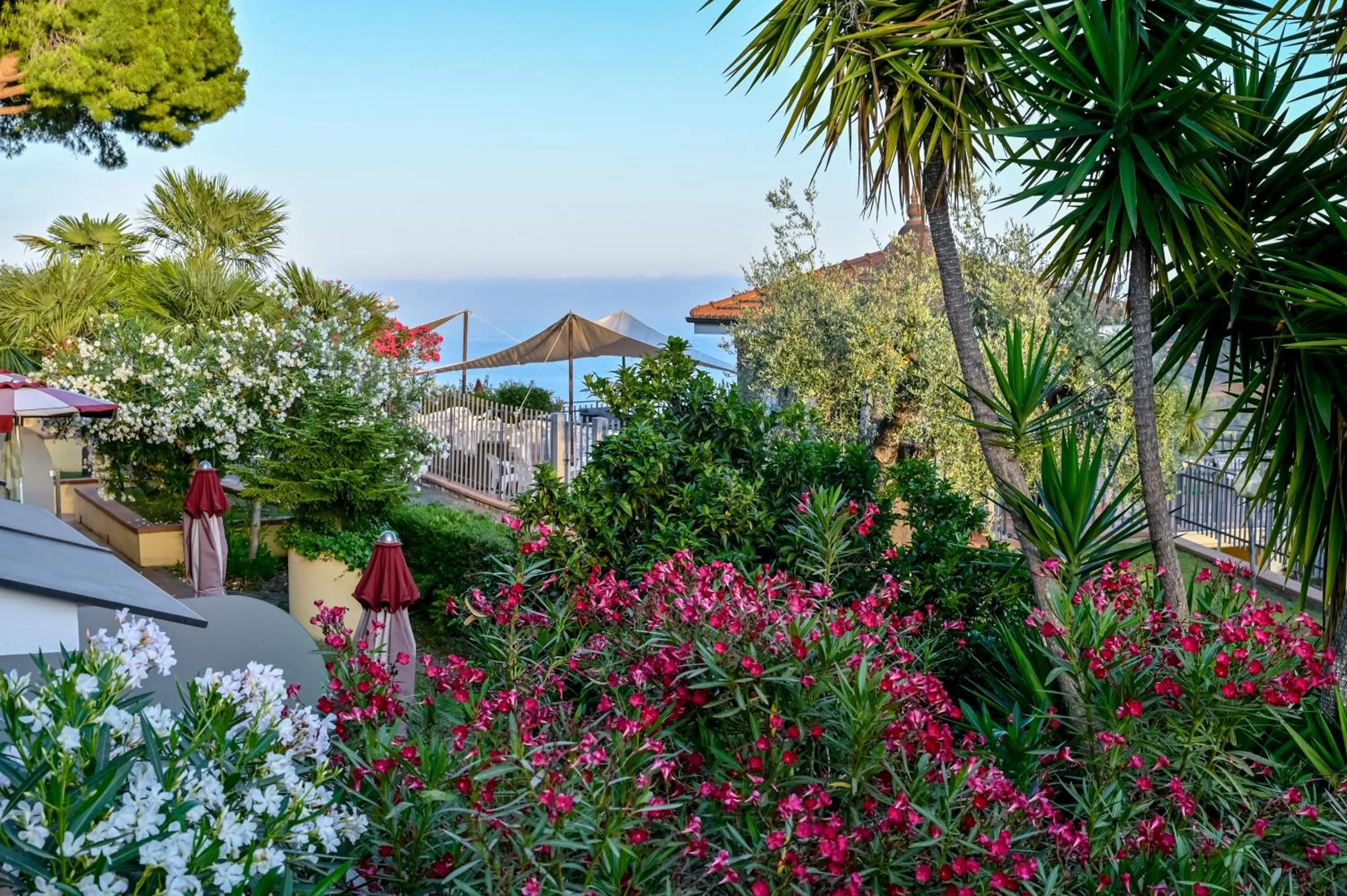 View (from property/room) in Hotel Liliana Diano Marina