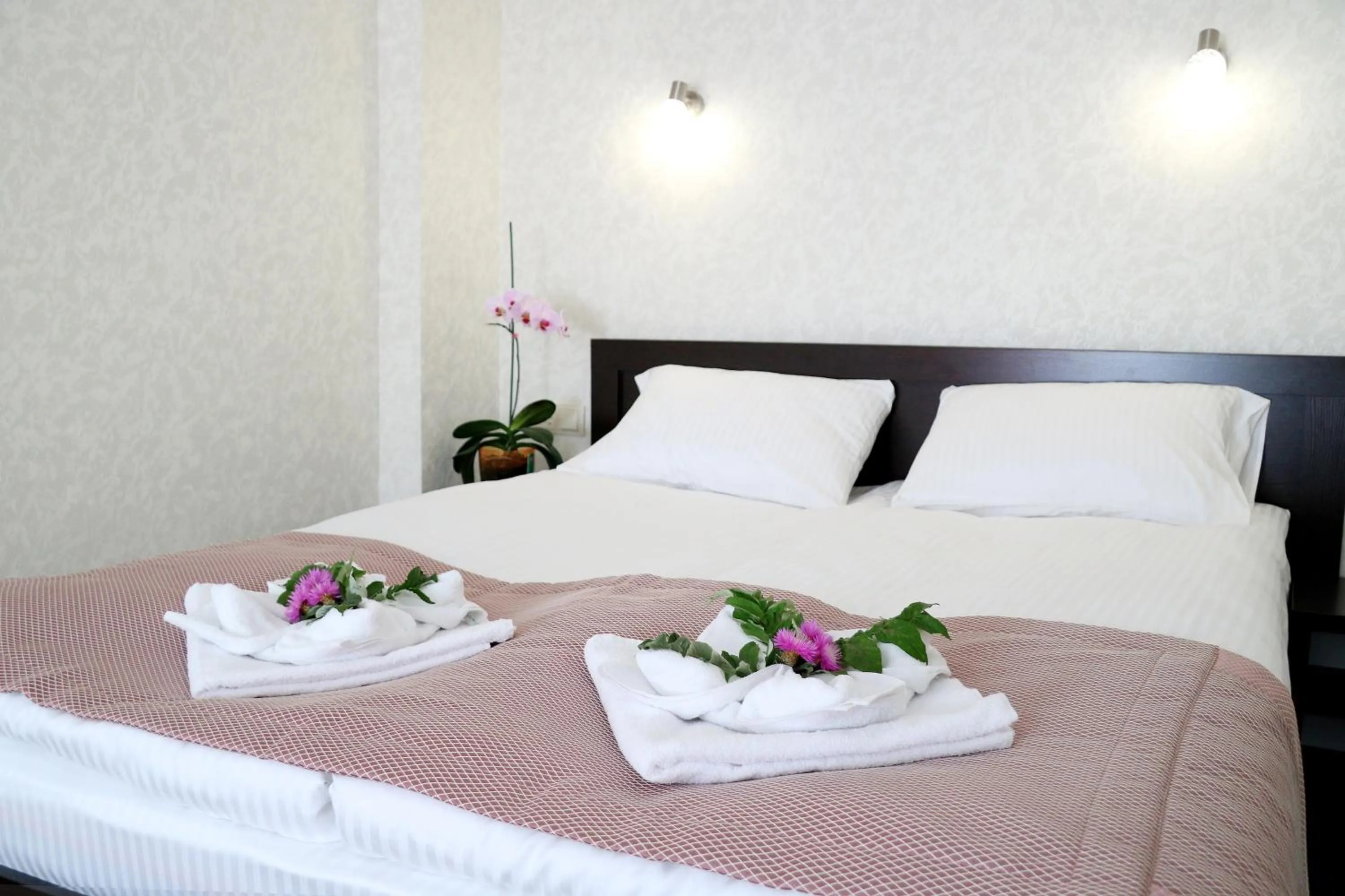 bunk bed, Bed in Hotel Tourist