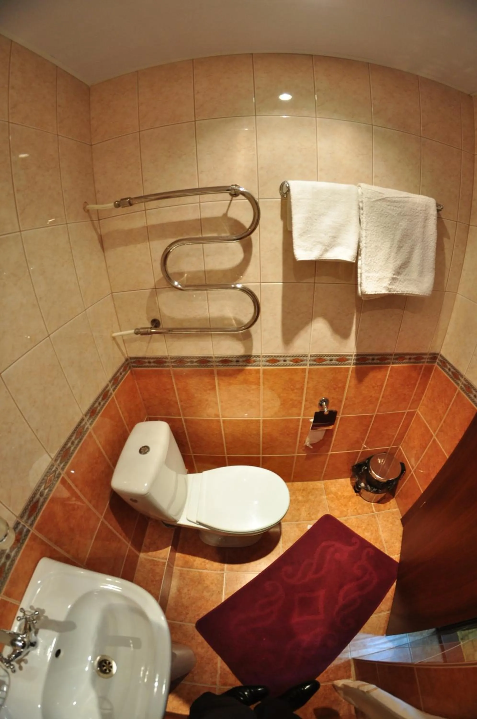 Toilet in Hotel Tourist