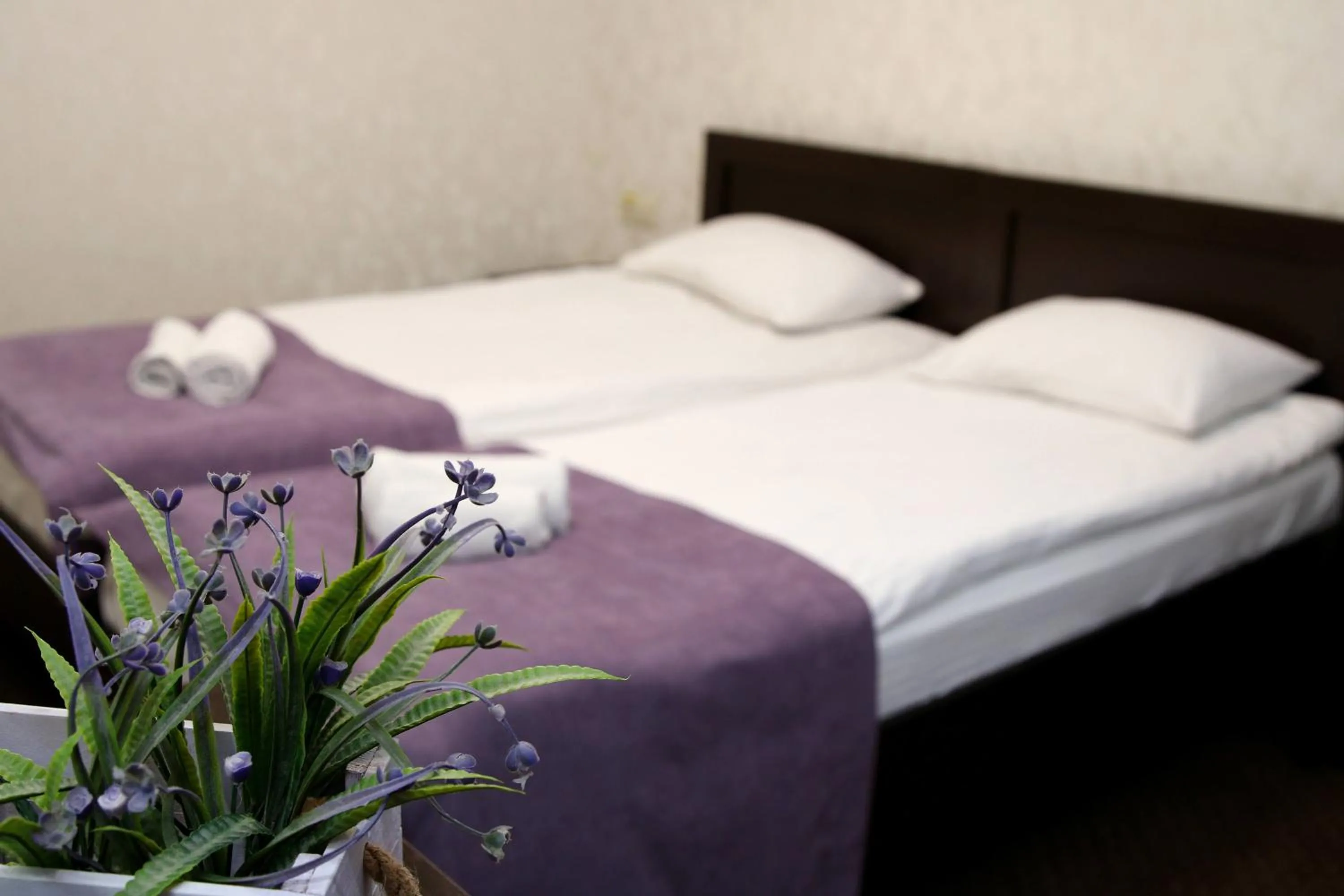Bed in Hotel Tourist