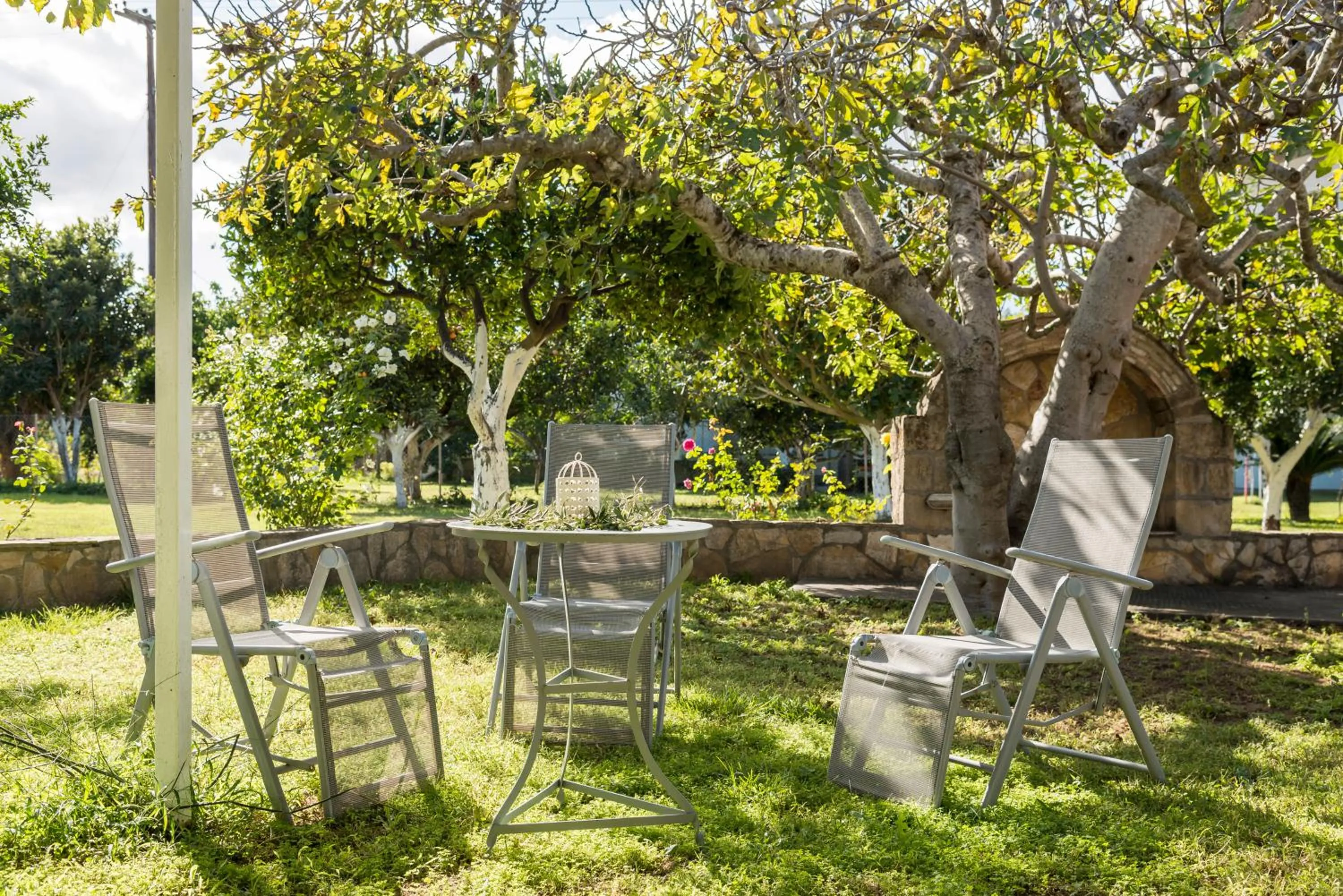 Garden view in Akroyali Hotel & Villas