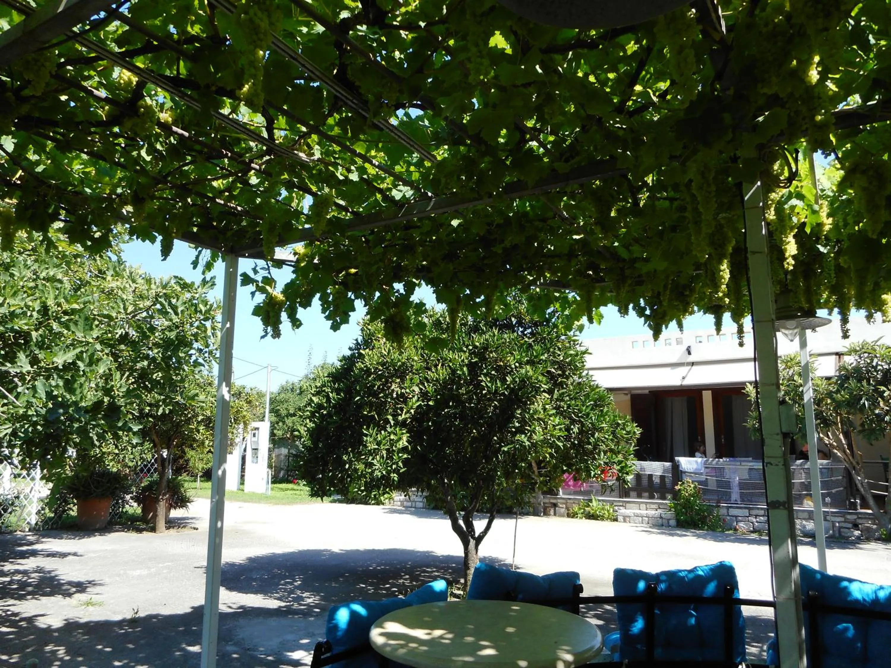 Garden view in Akroyali Hotel & Villas