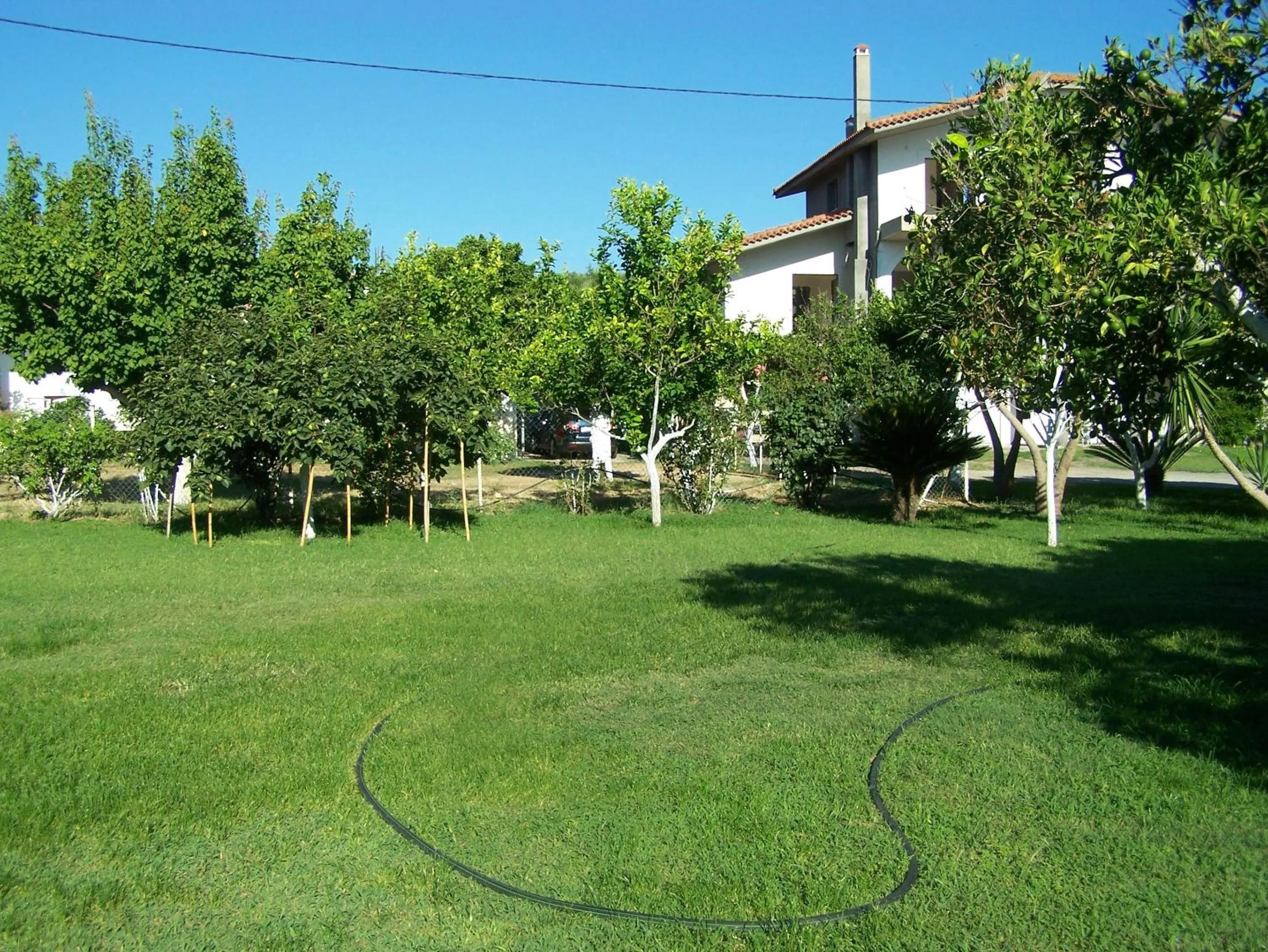 Activities in Akroyali Hotel & Villas