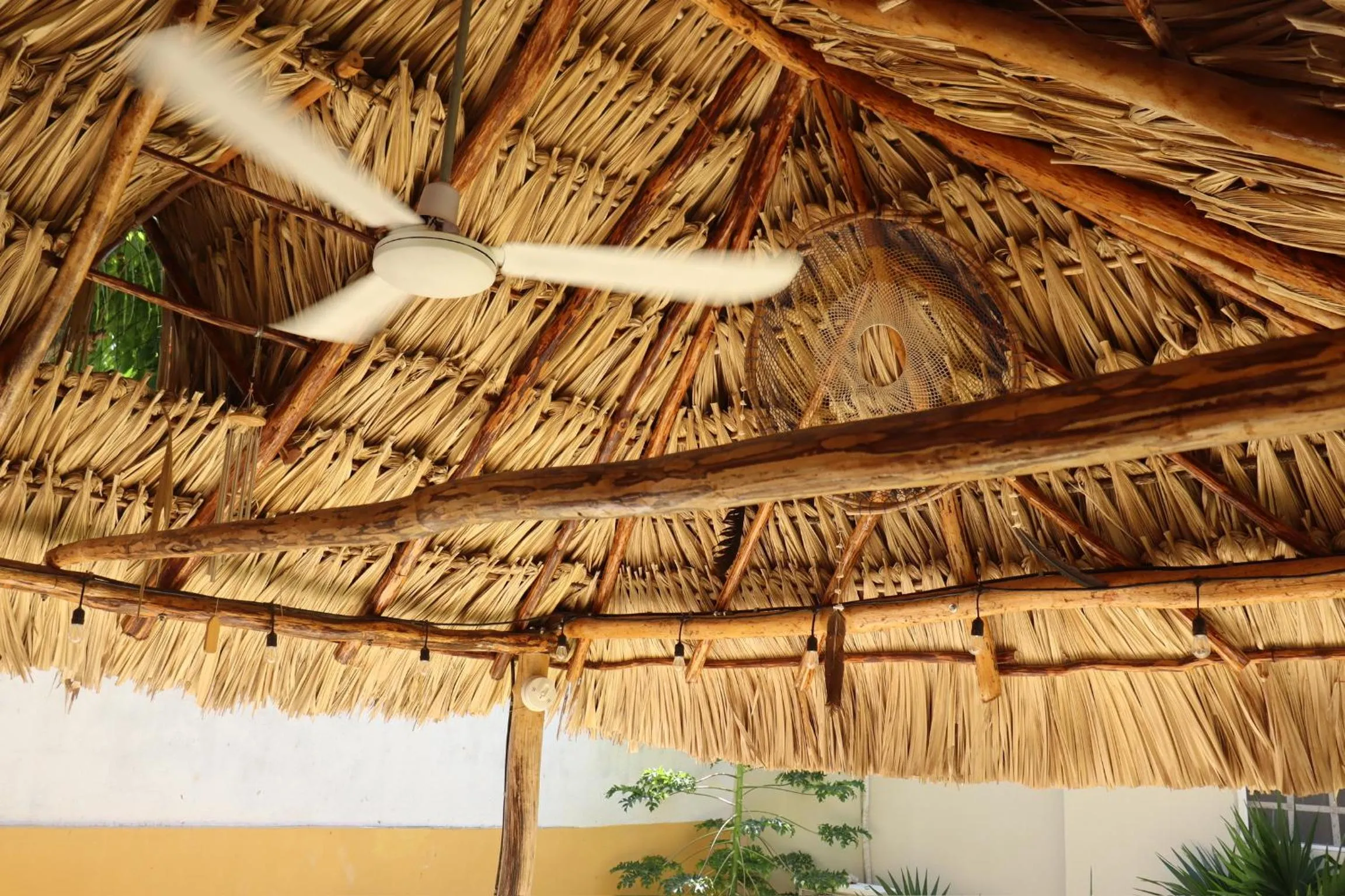 Garden in CASA KINICH SISAL