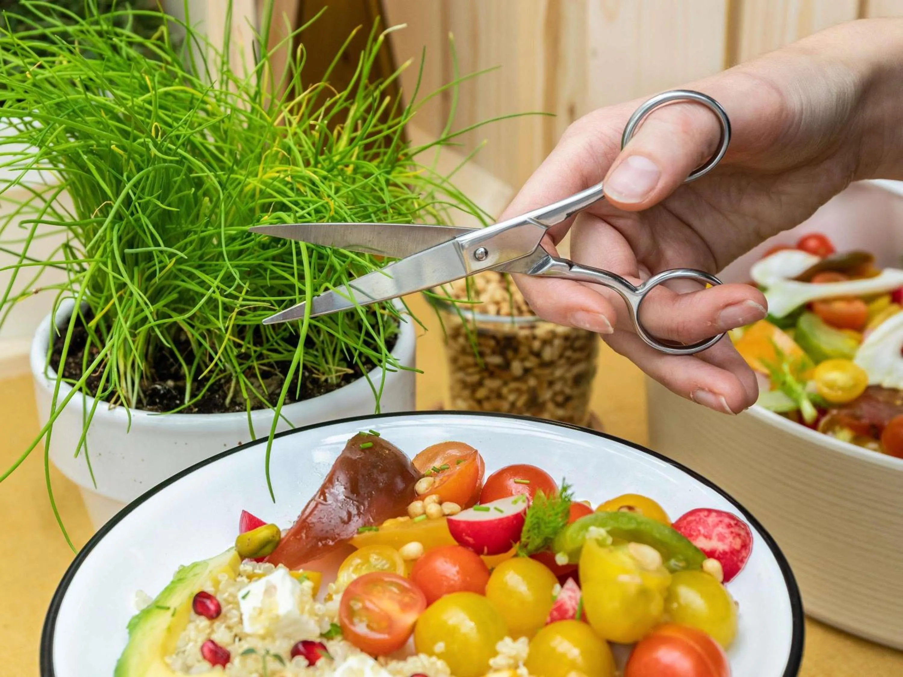 Restaurant/places to eat in ibis Douai Dechy