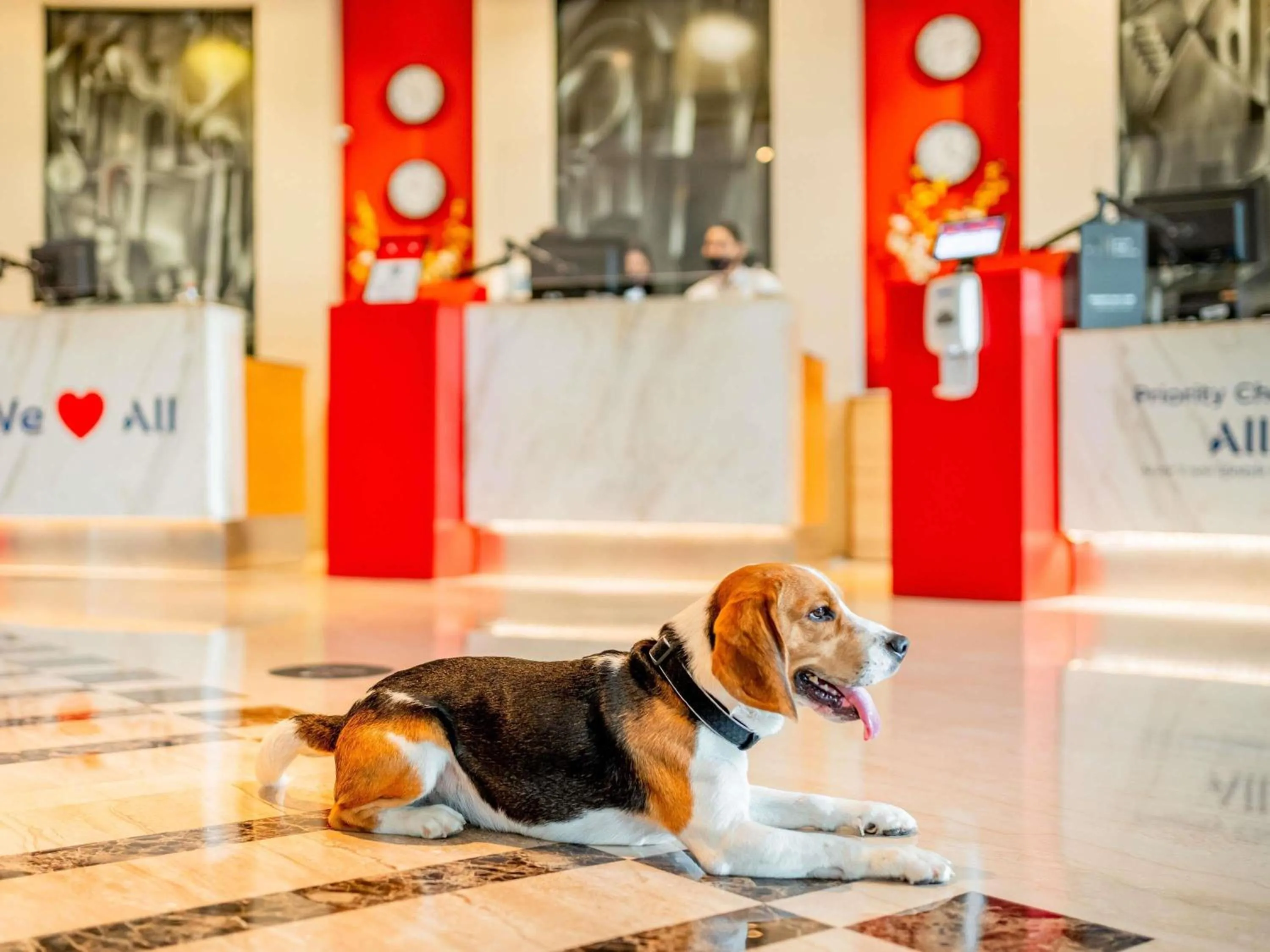 Other in ibis Douai Dechy