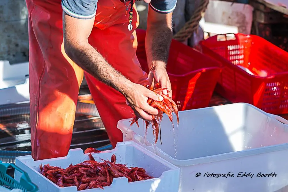 Nearby landmark in Hotel La Villa