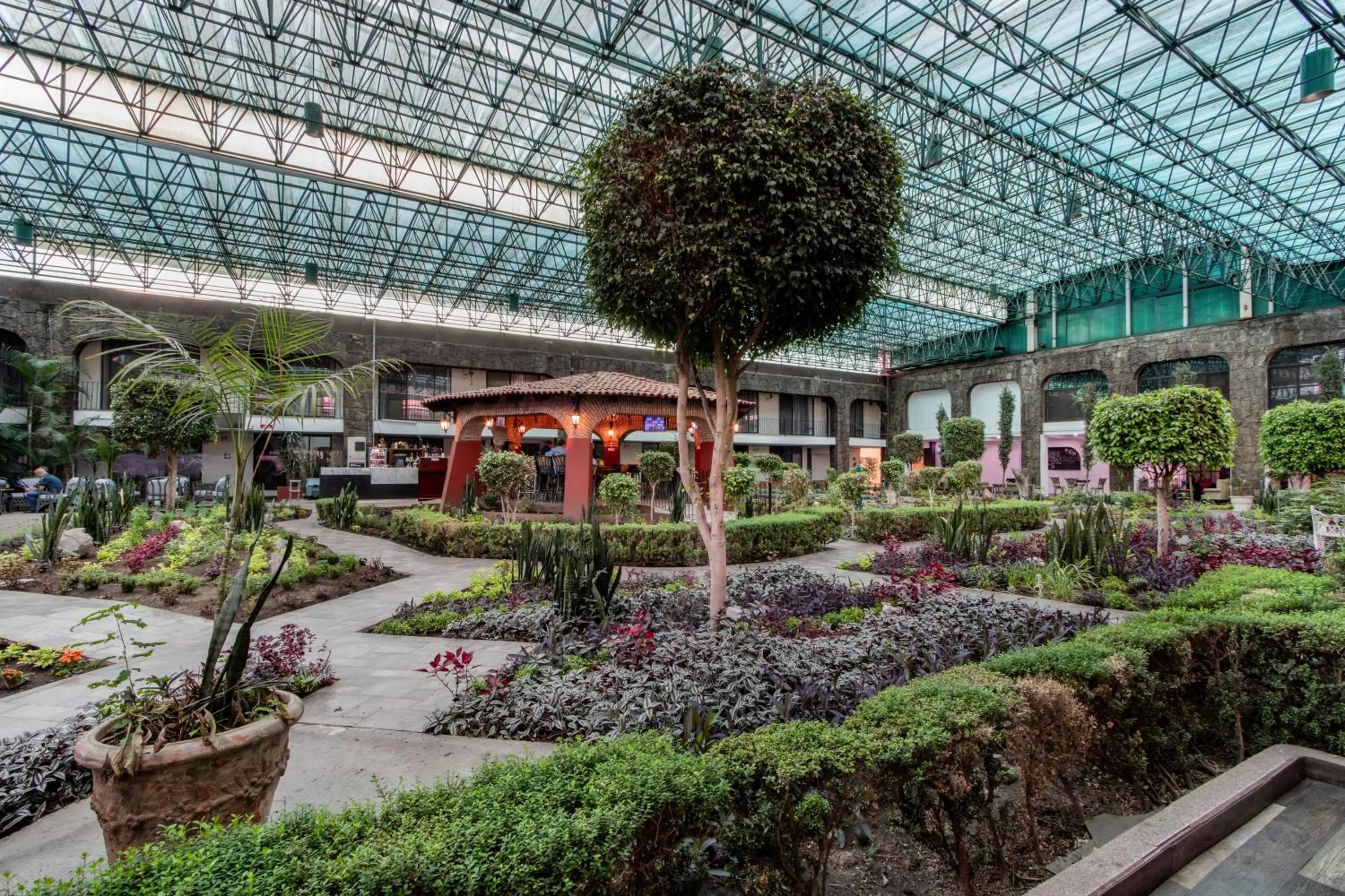 Garden view in Radisson Hotel & Convention Center Toluca