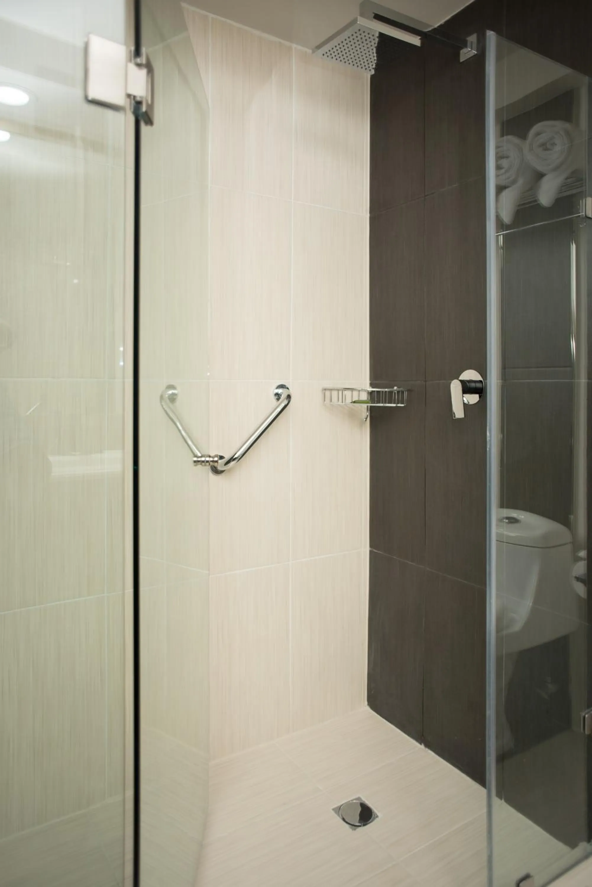 Shower in Radisson Hotel & Convention Center Toluca