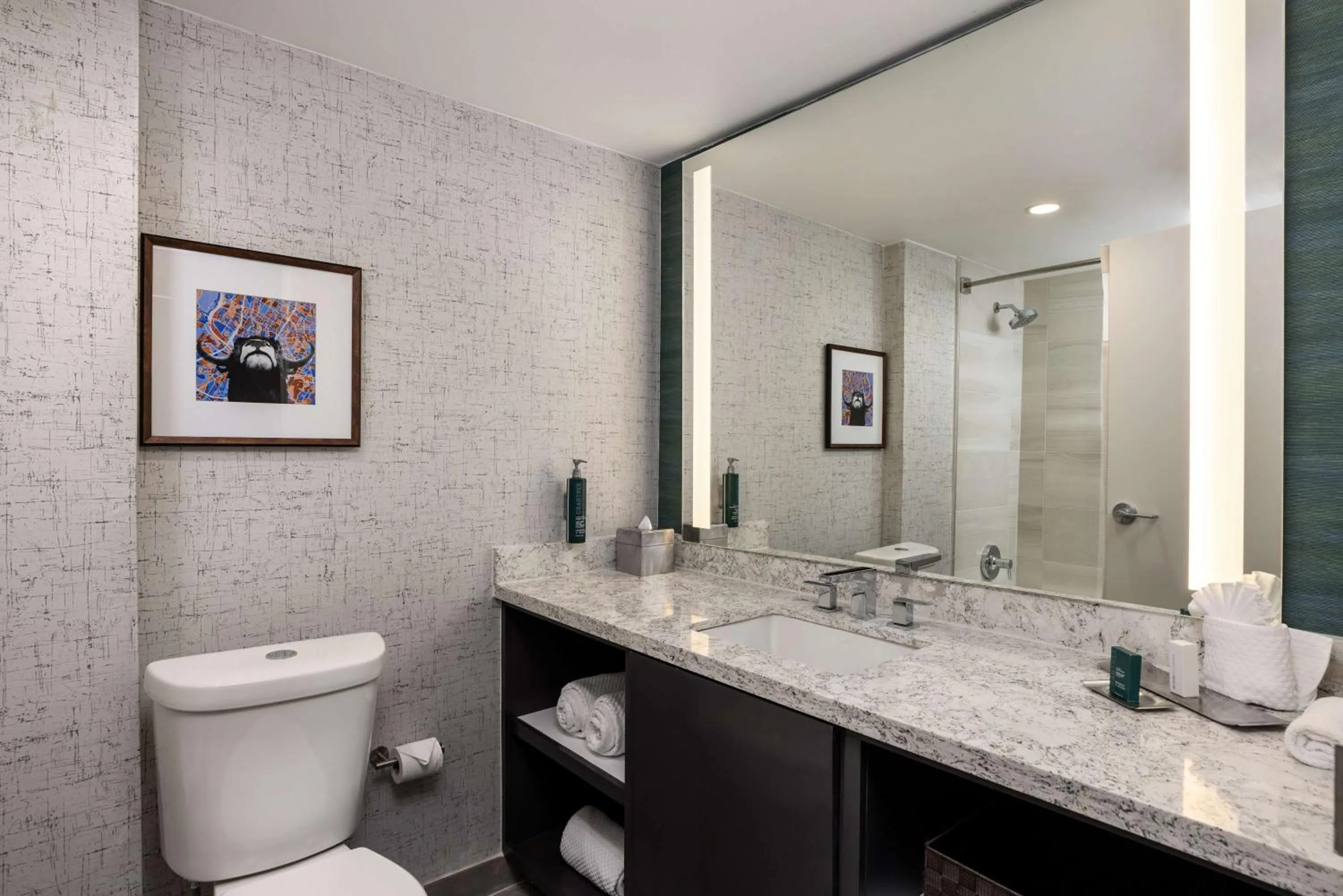 Bathroom in DoubleTree Suites by Hilton Austin Downtown Capitol