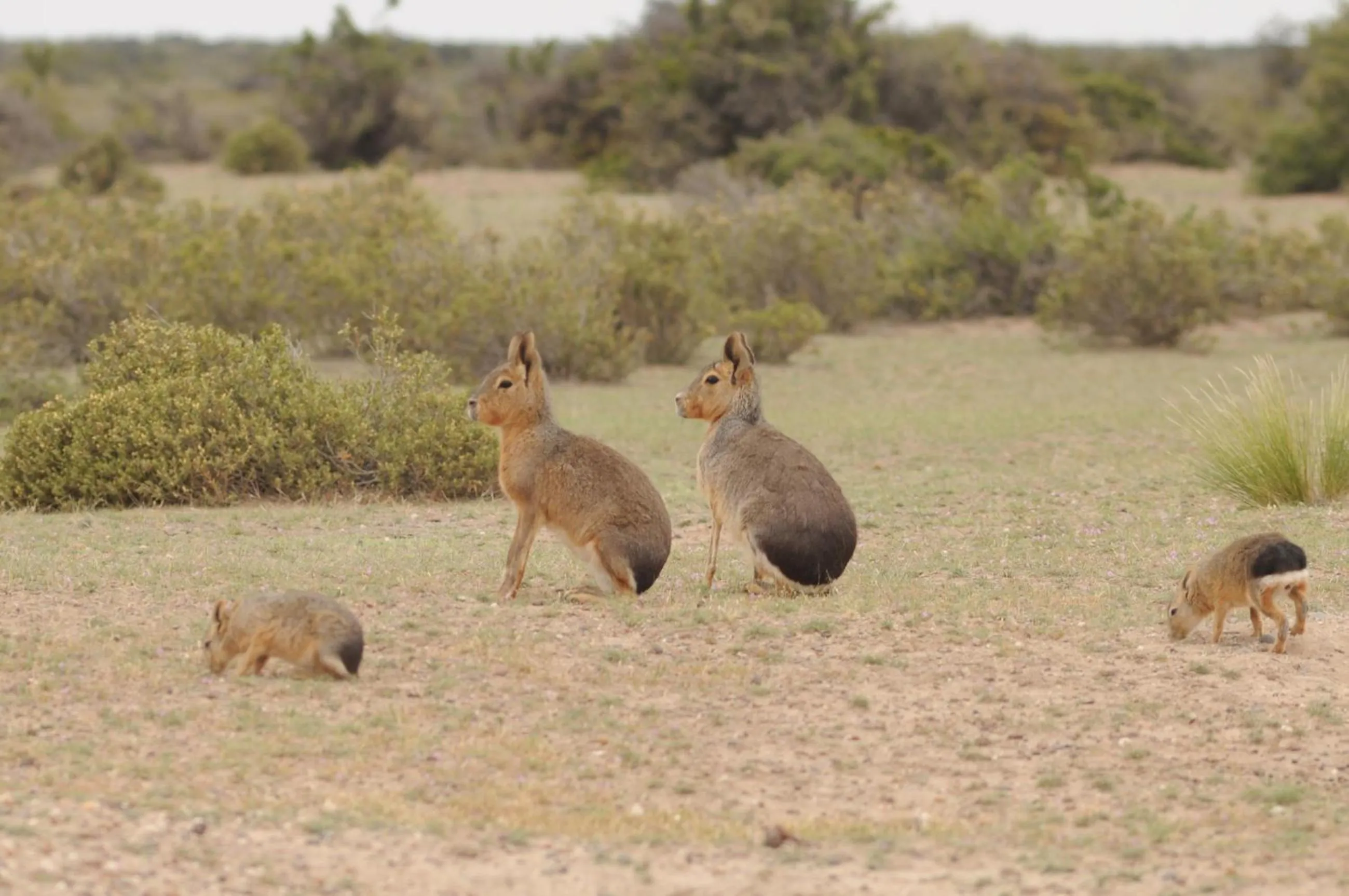 Natural landscape in La Tosca Hostel