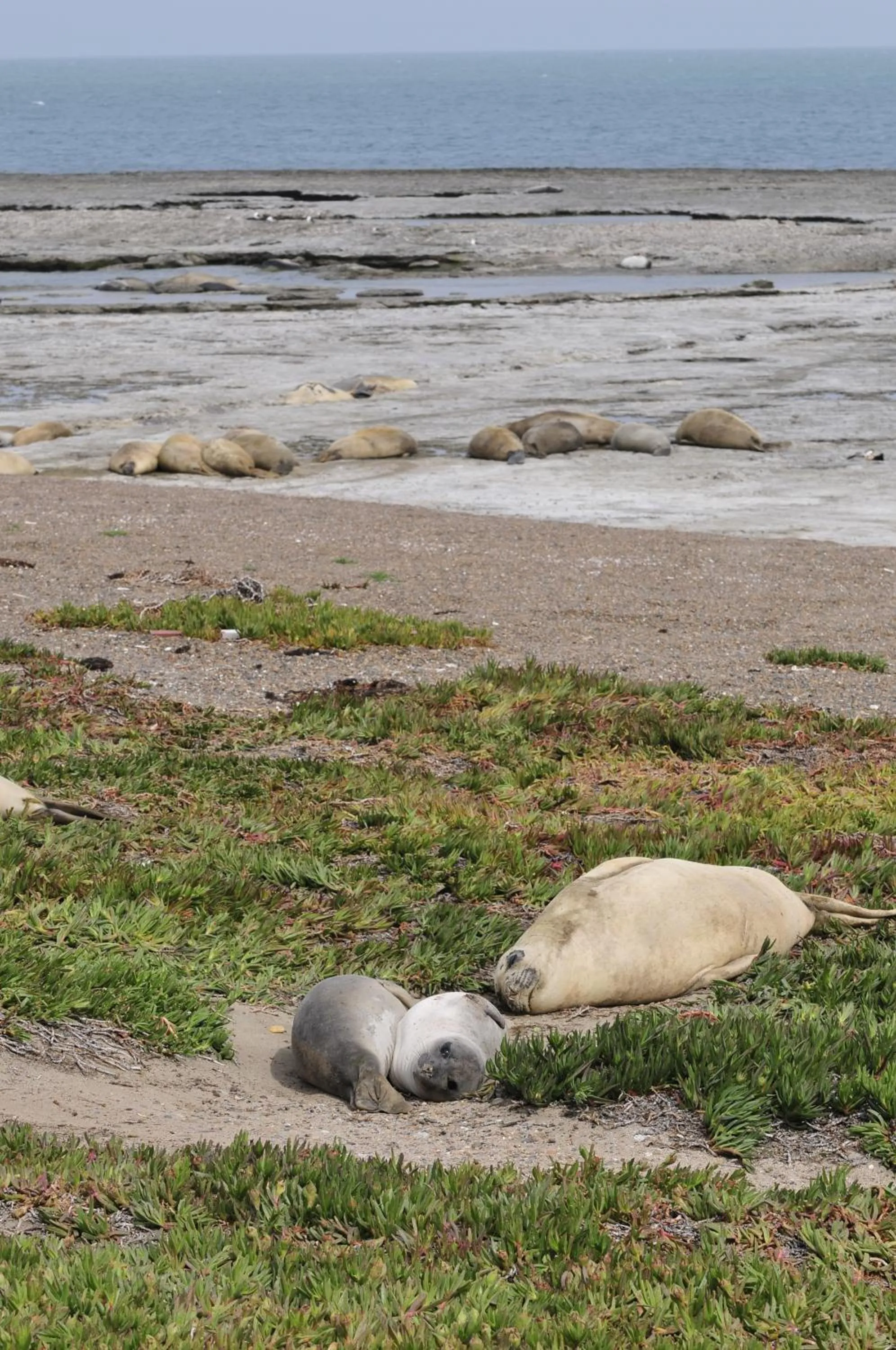 Natural landscape in La Tosca Hostel