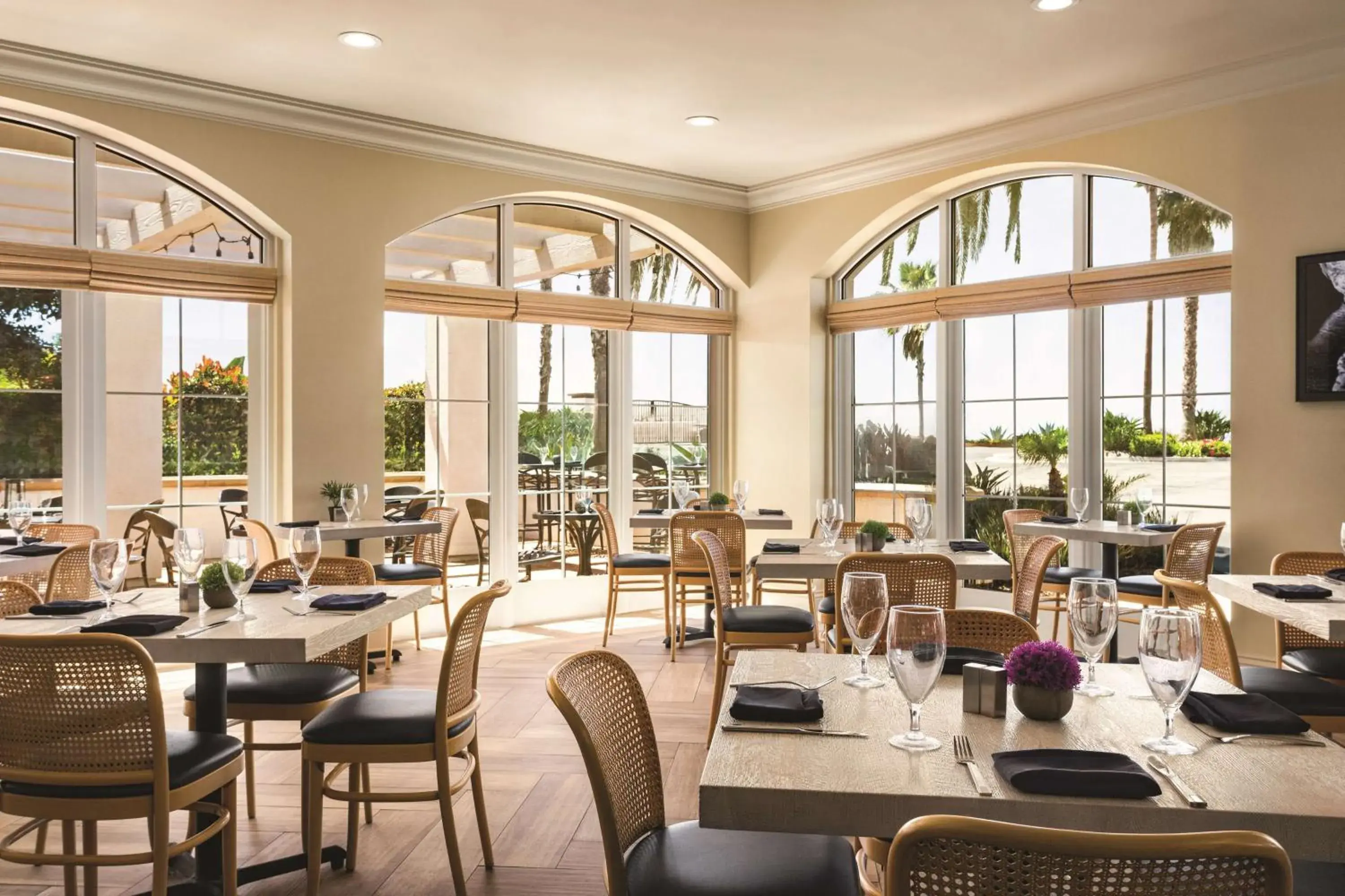 Restaurant/places to eat in Hilton Garden Inn Carlsbad Beach Restaurant/places to eat in Hilton Garden Inn Carlsbad Beach