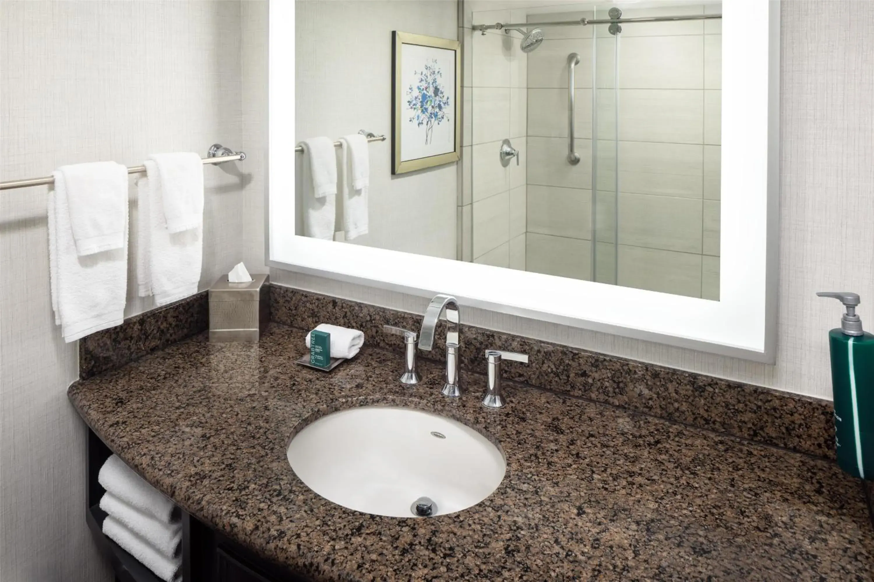 Bathroom in Hilton Arlington Bathroom in Hilton Arlington