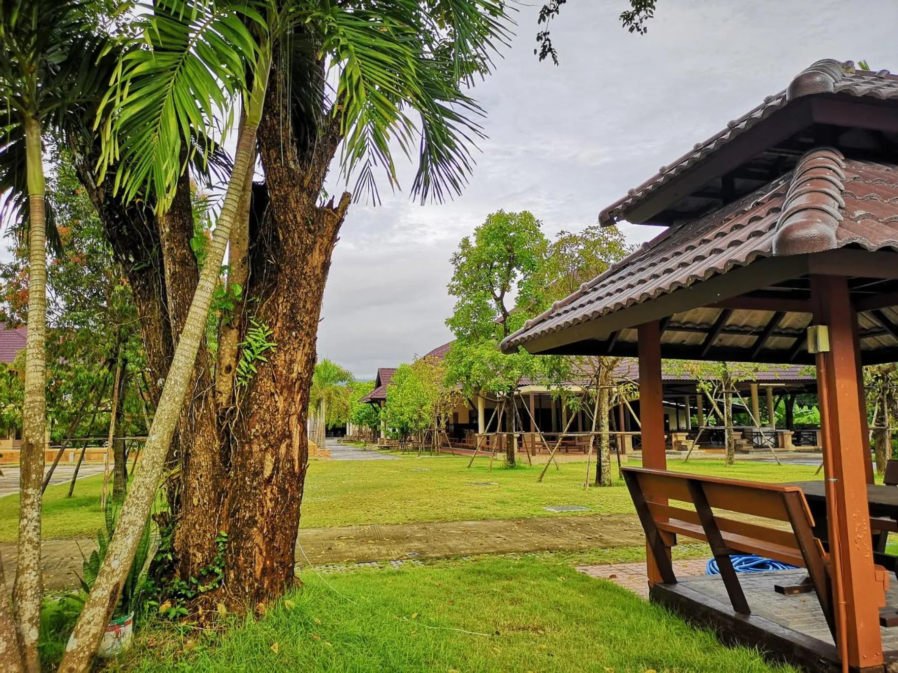 Property building in Sophia Resort