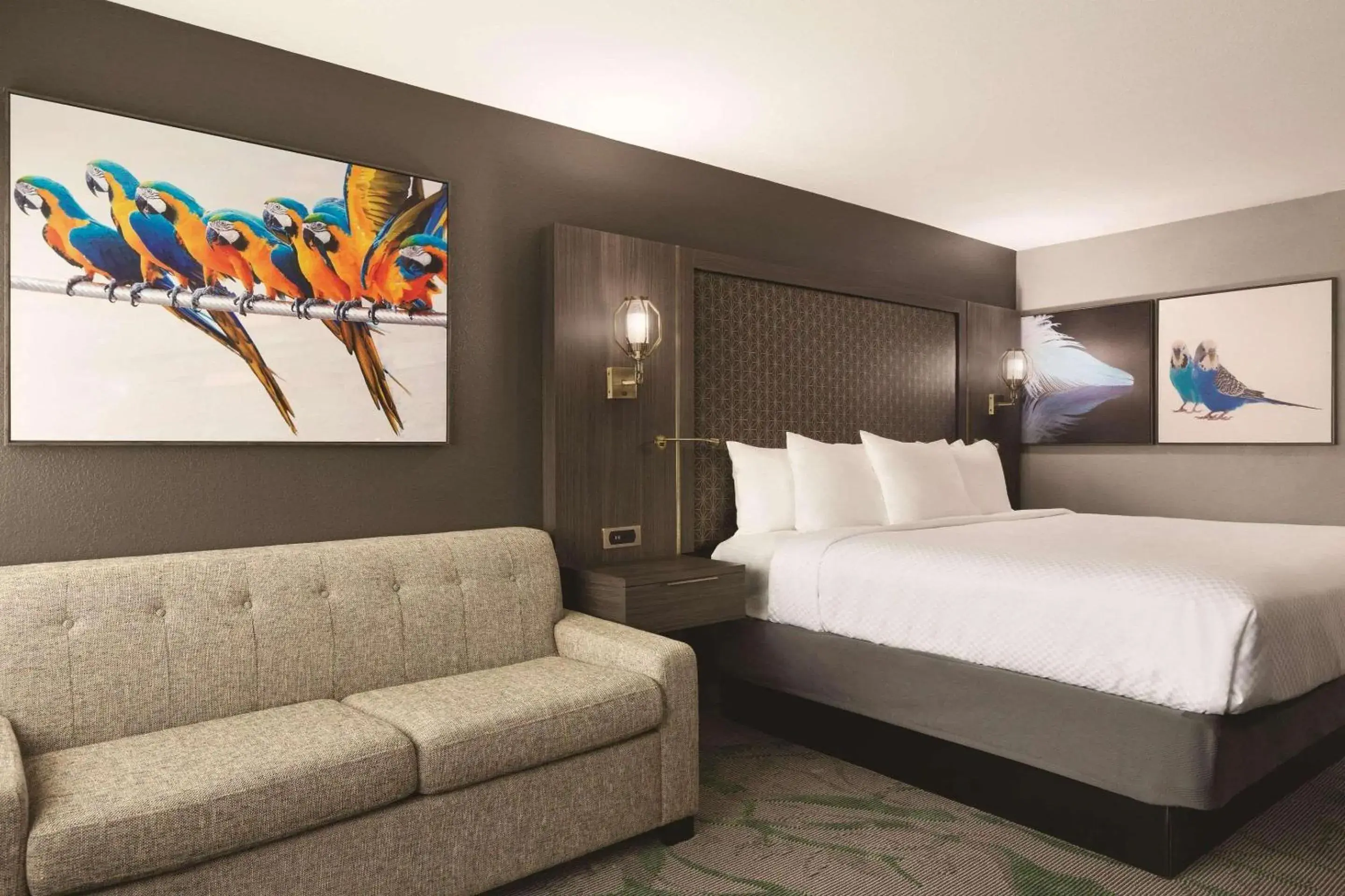 Bedroom in Radisson Hotel McAllen Airport Bedroom in Radisson Hotel McAllen Airport