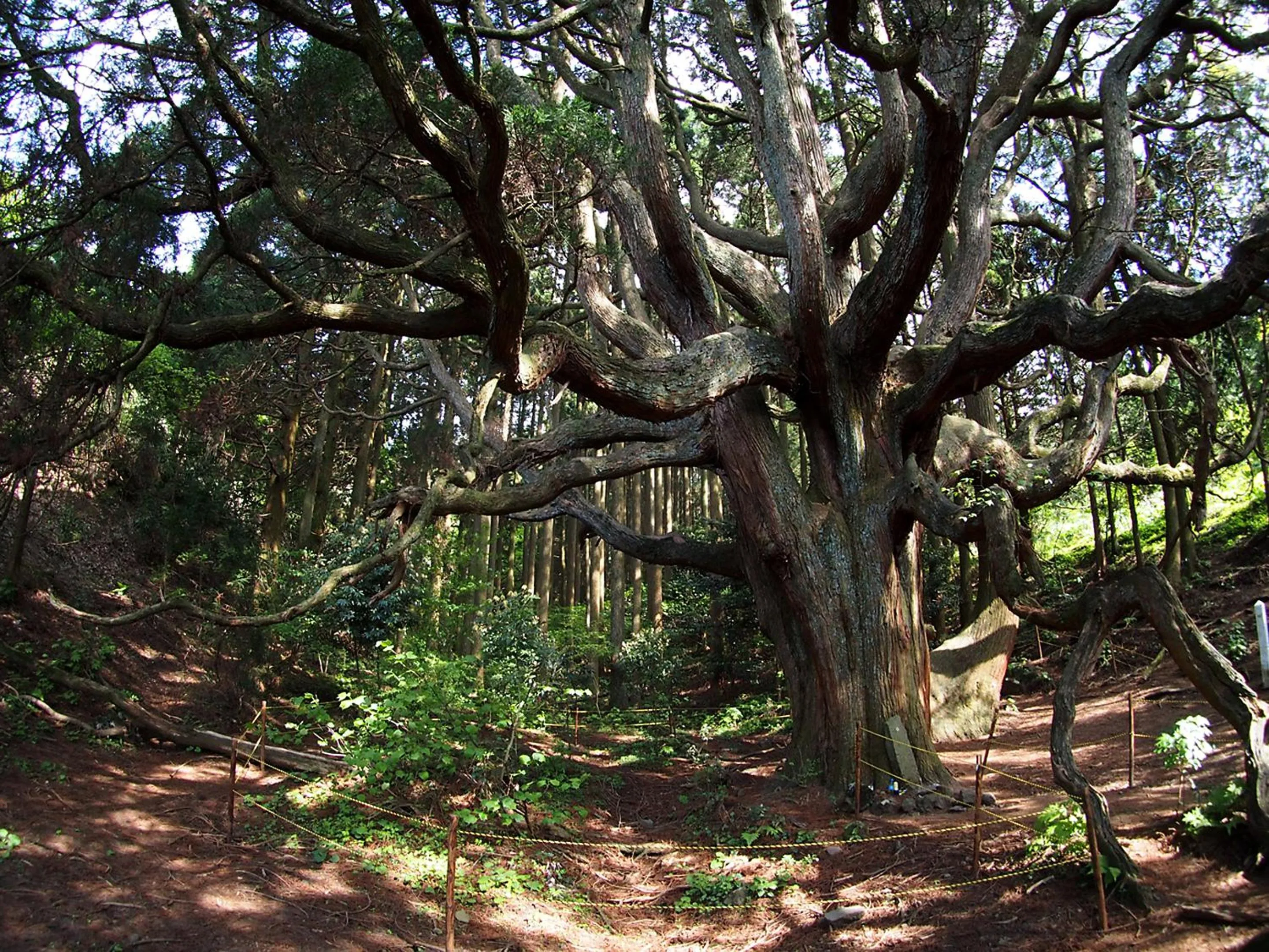 Nearby landmark in Shikino Mori