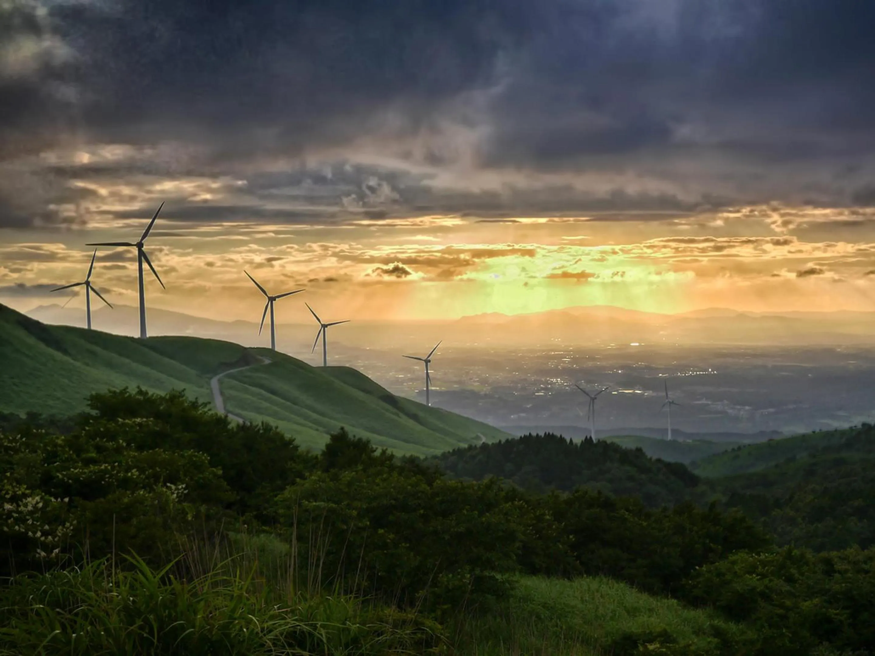 Off site in Shikino Mori