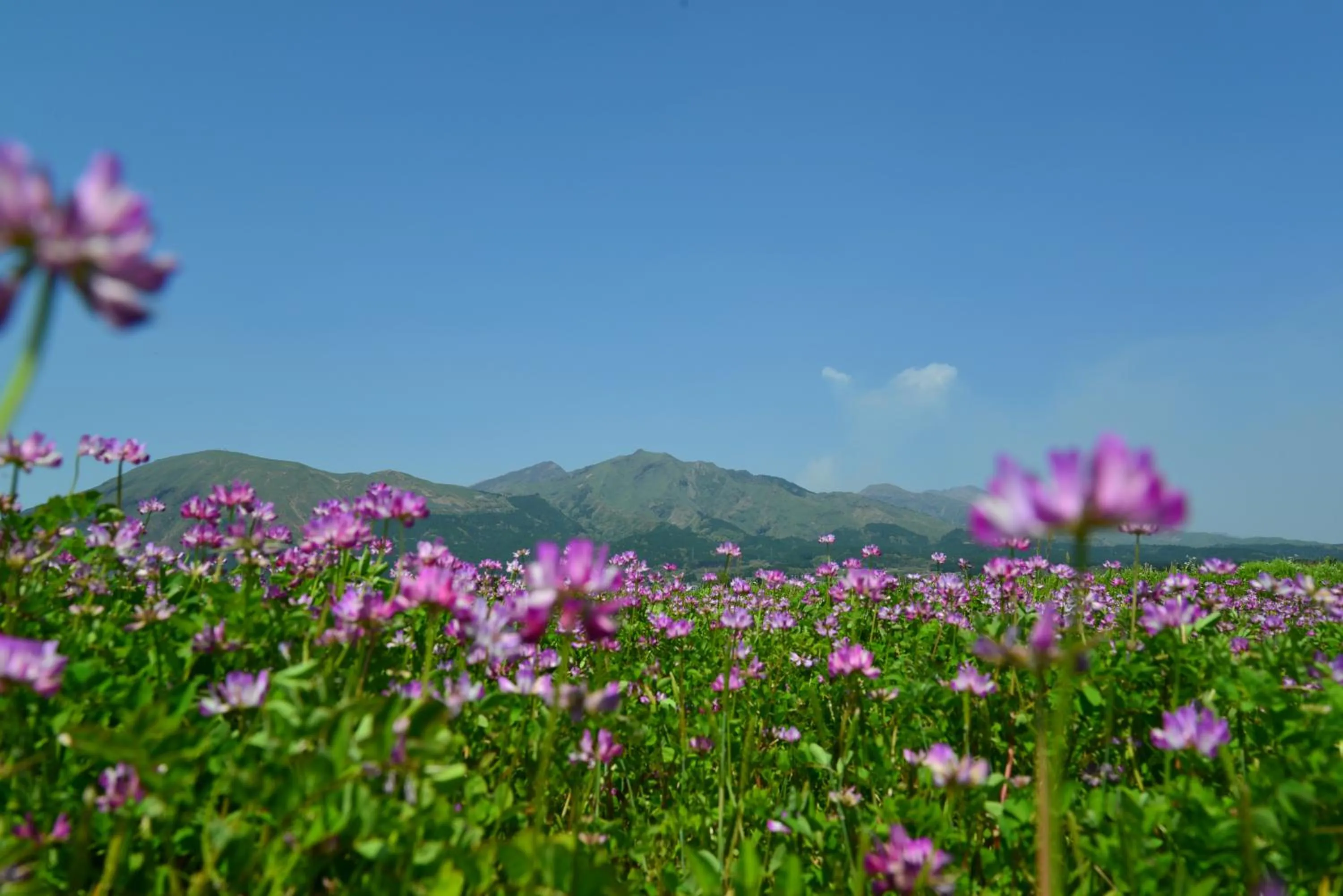 Natural landscape in Shikino Mori
