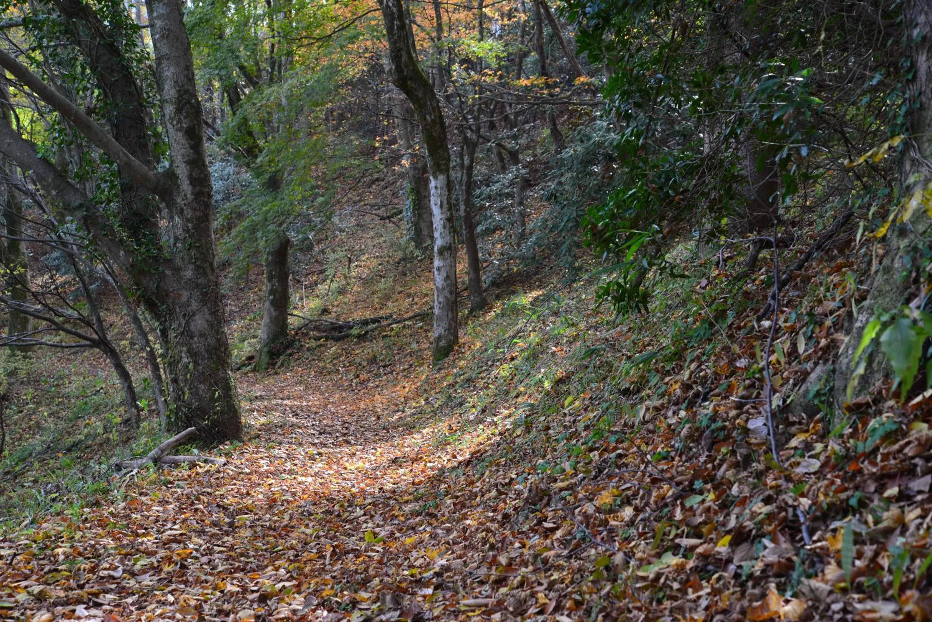 Off site in Shikino Mori