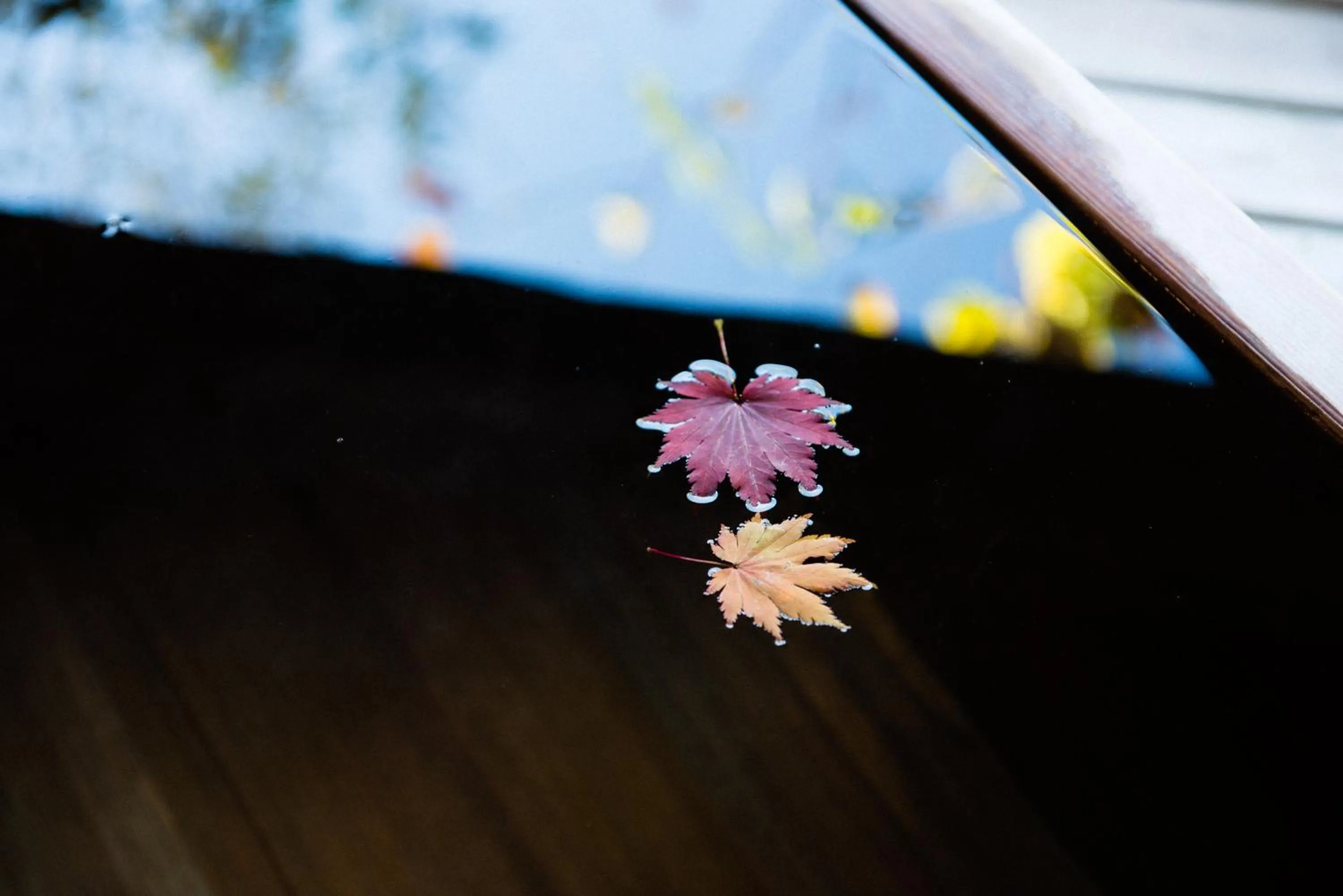 Hot Spring Bath in Myojinkan